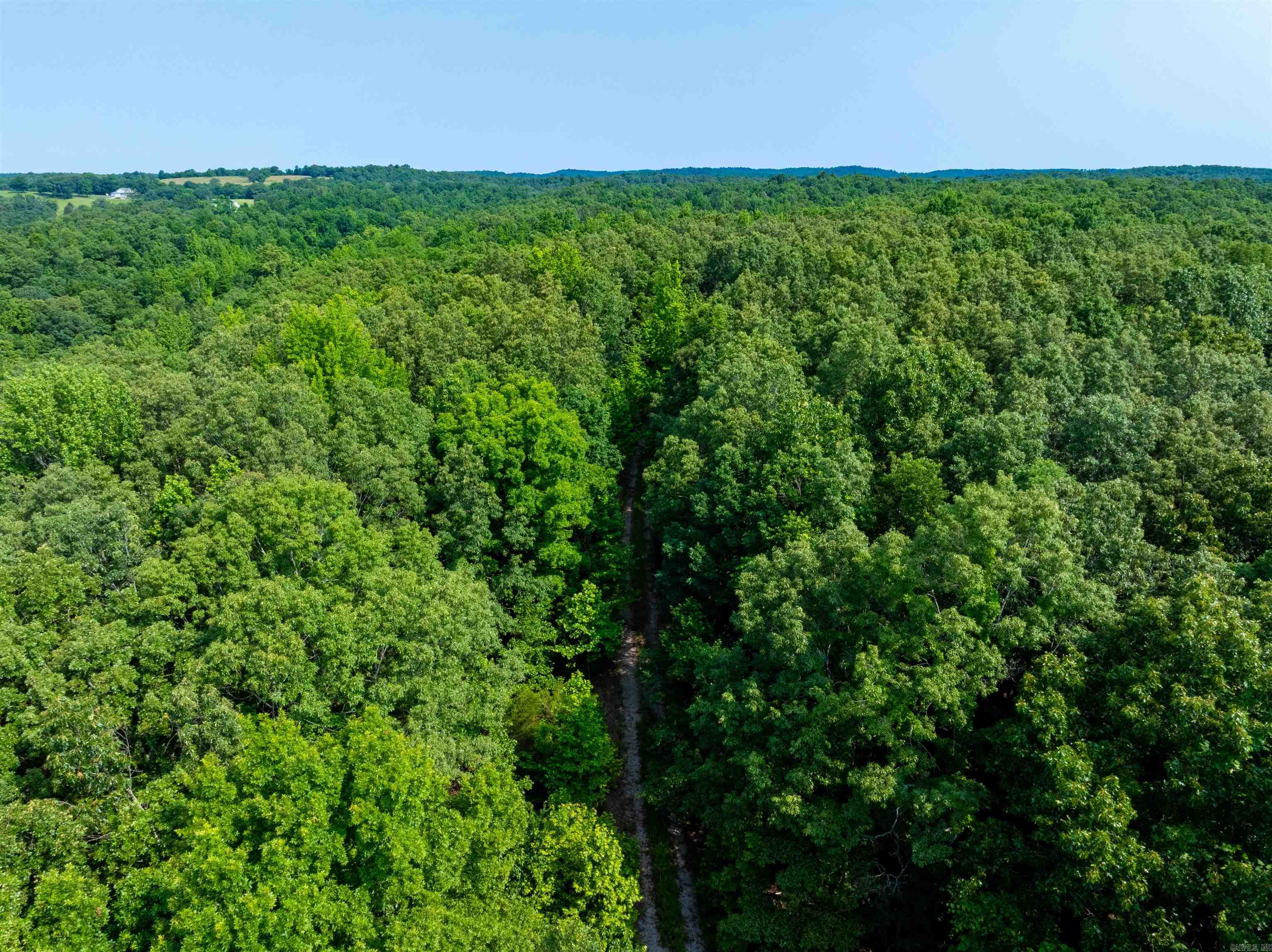 Photo 24 - Vacant Land for sale – 000  Cave Creek   Batesville, AR