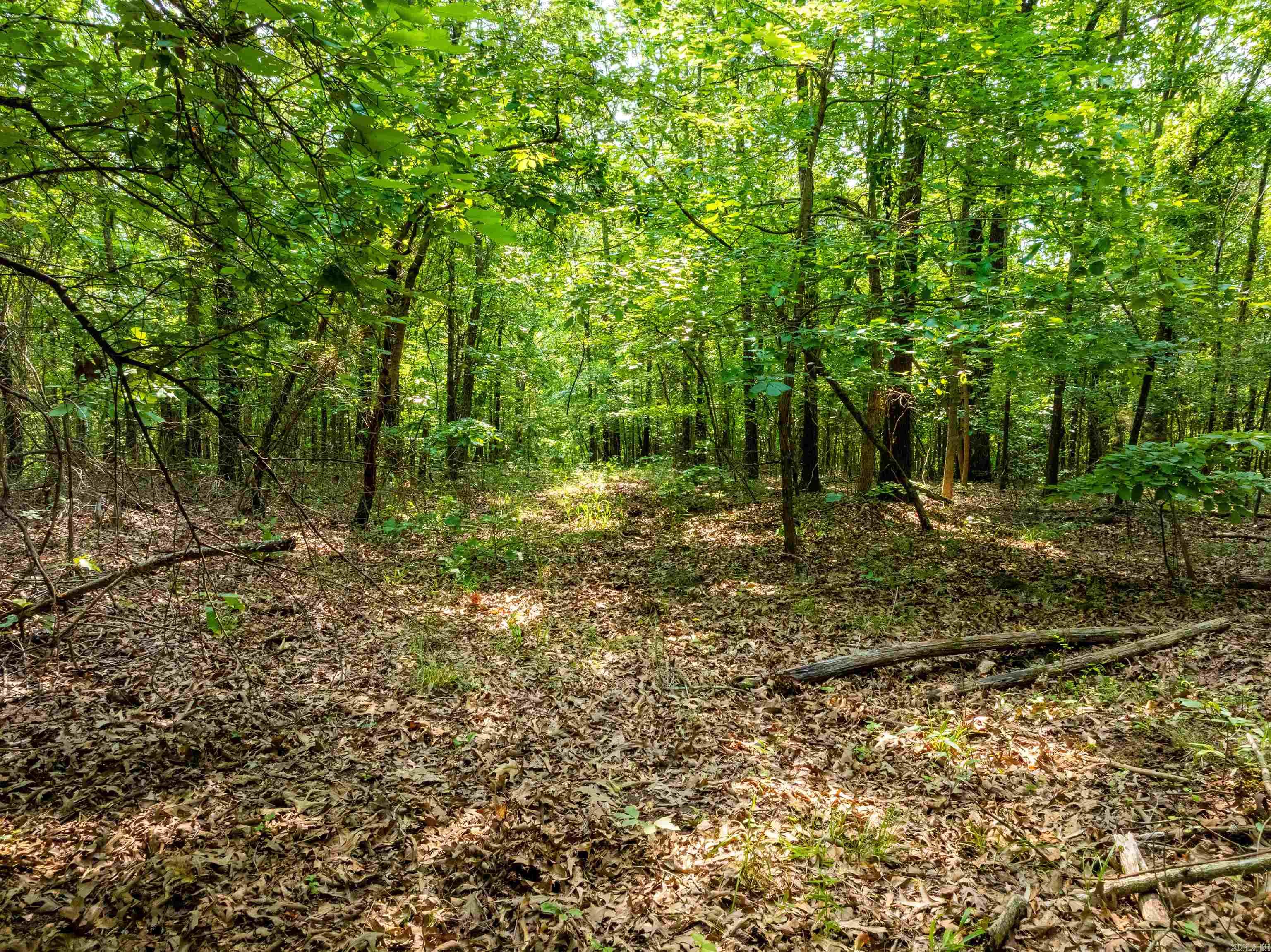 Photo 7 - Vacant Land for sale – 000  Cave Creek   Batesville, AR