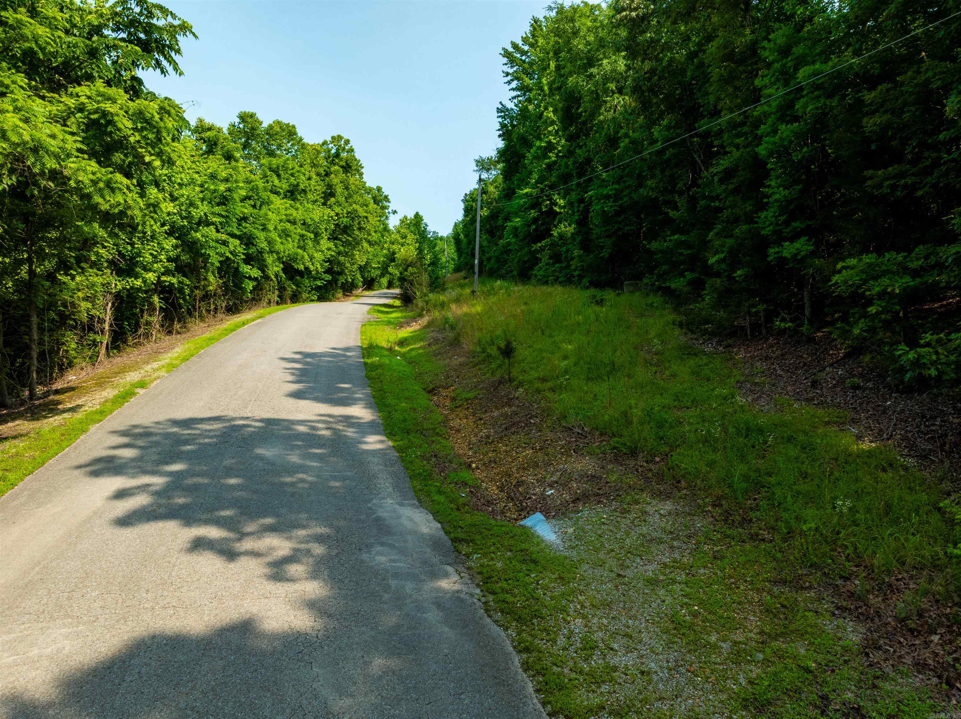 Photo 9 - Vacant Land for sale – 000  Cave Creek   Batesville, AR