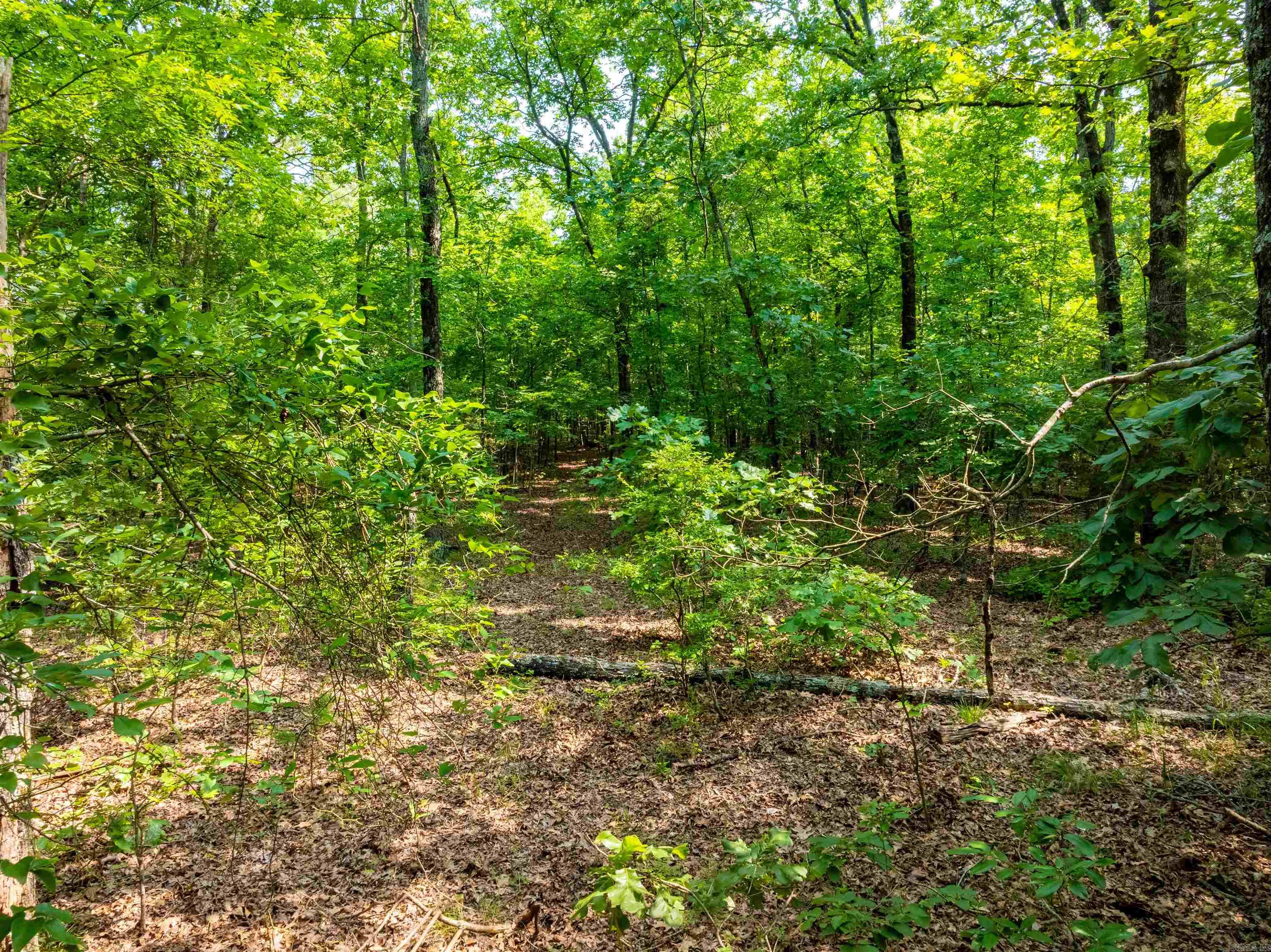 Photo 9 - Vacant Land for sale – 000  Cave Creek   Batesville, AR