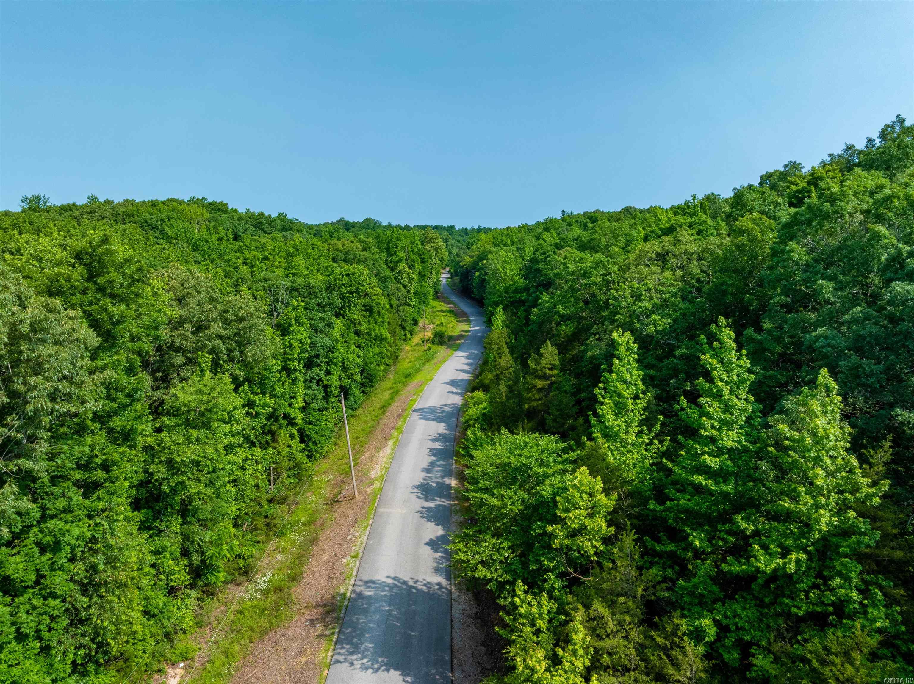 Photo 10 - Vacant Land for sale – 000  Cave Creek   Batesville, AR