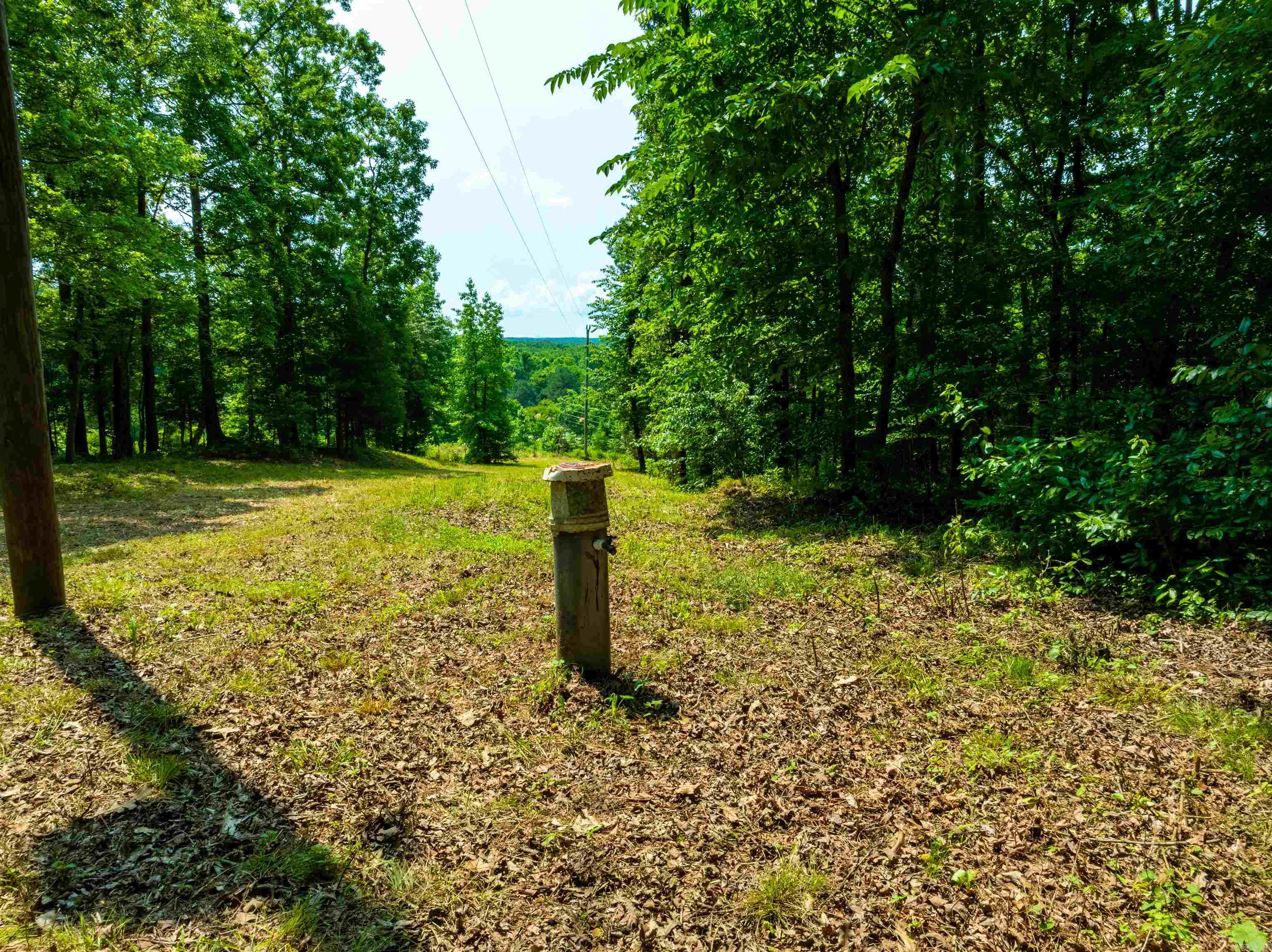 Photo 11 - Vacant Land for sale – 000  Sweet Gum   Batesville, AR