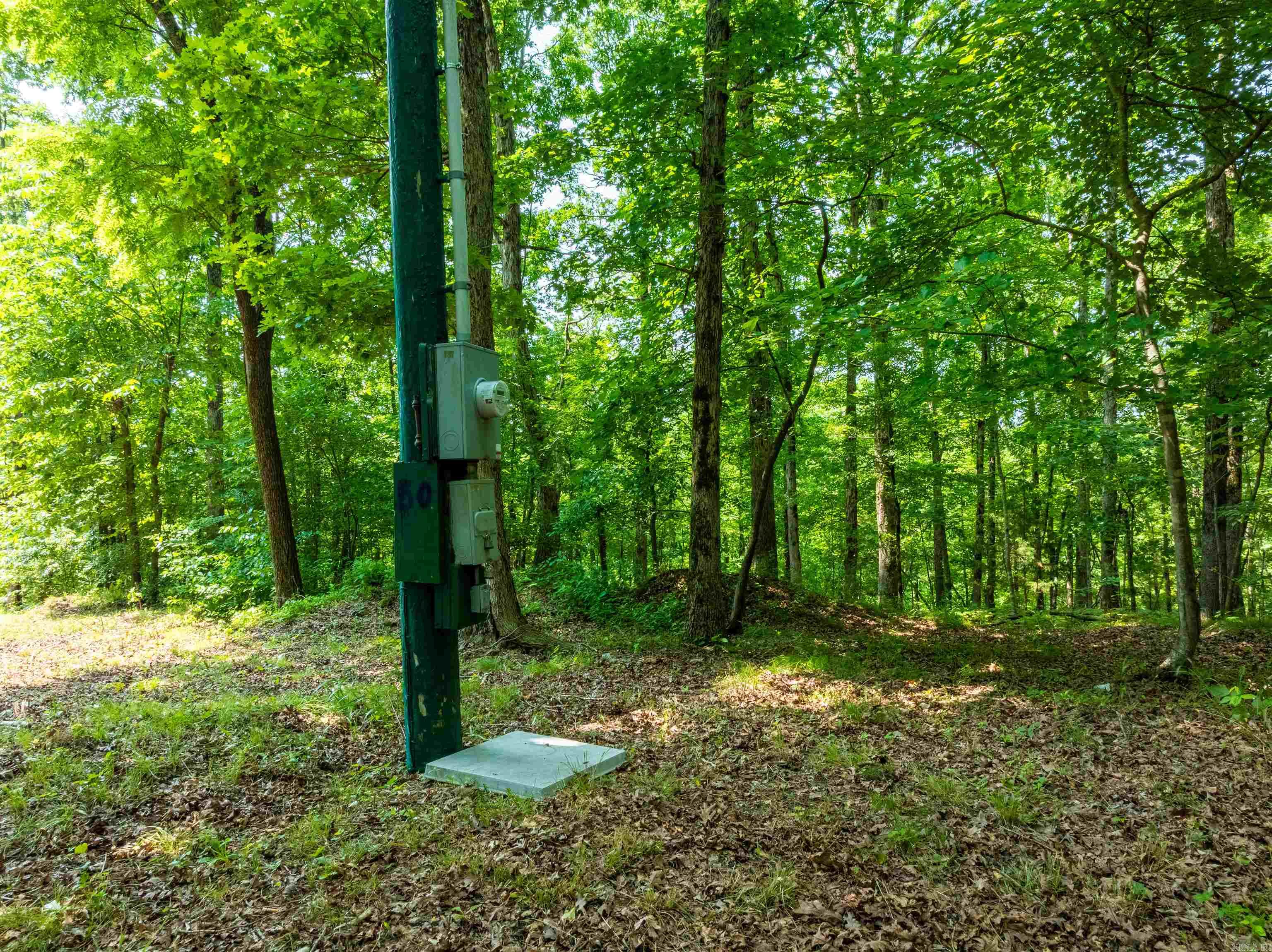 Photo 12 - Vacant Land for sale – 000  Sweet Gum   Batesville, AR