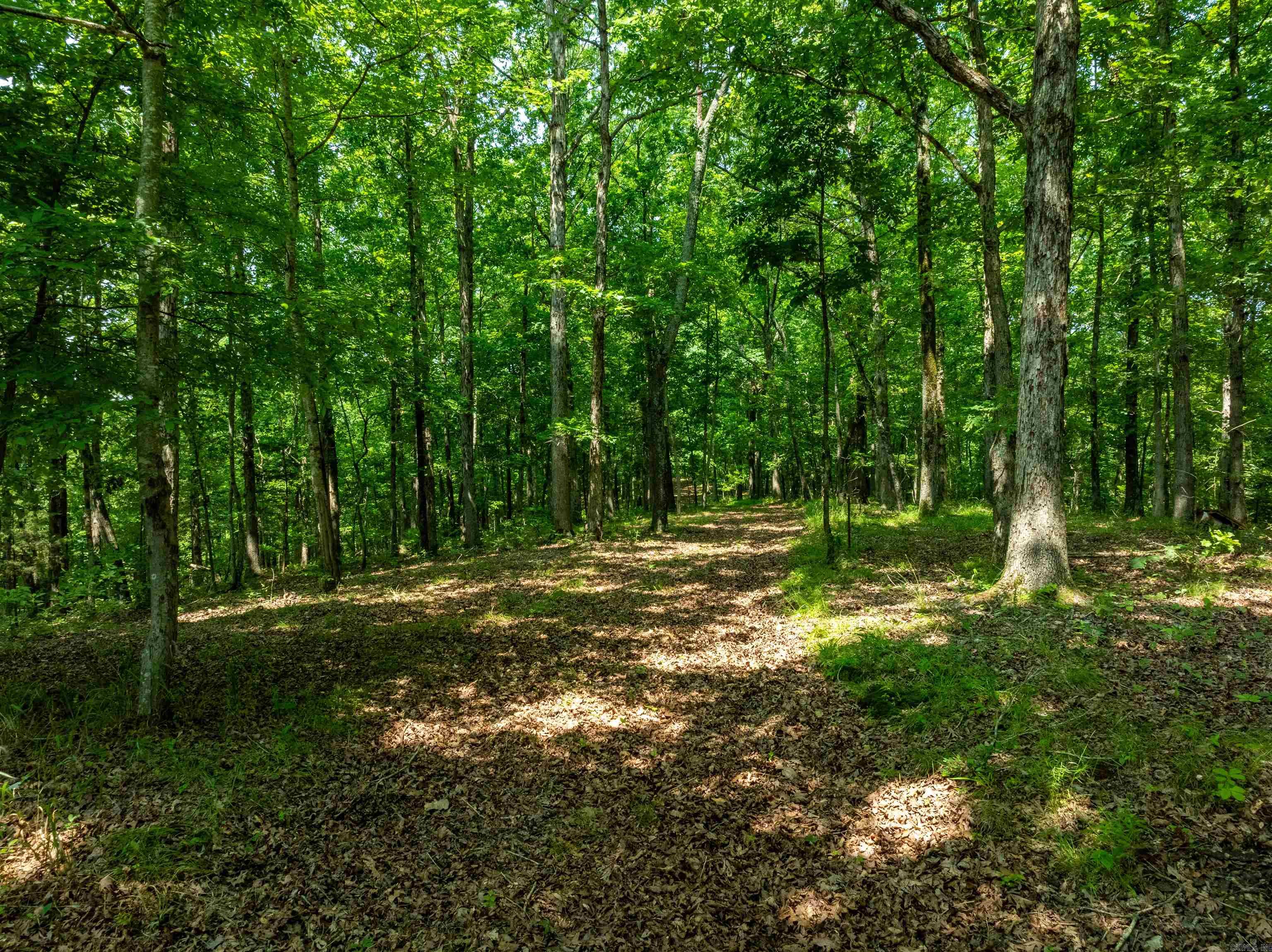 Photo 14 - Vacant Land for sale – 000  Sweet Gum   Batesville, AR