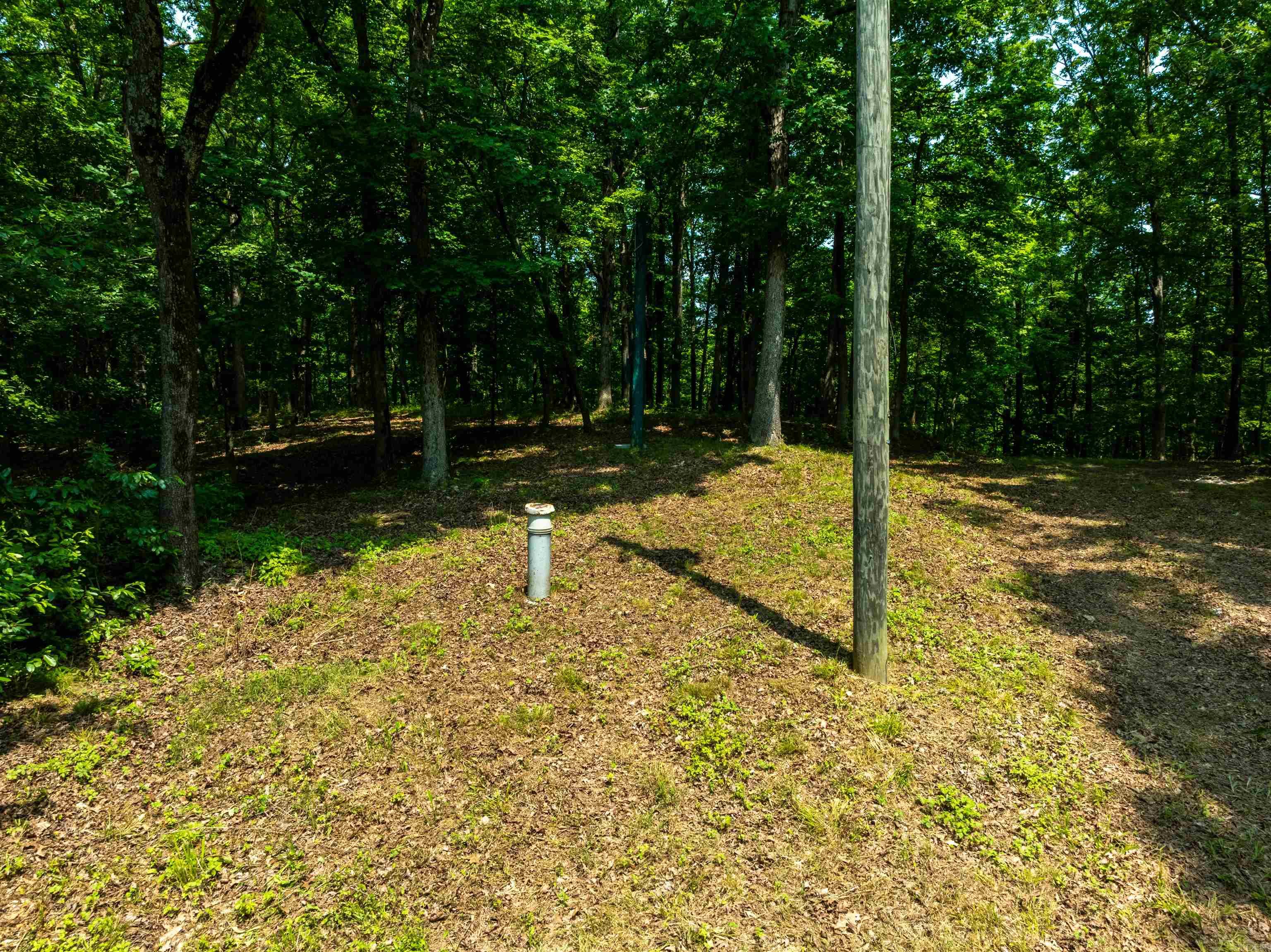 Photo 21 - Vacant Land for sale – 000  Sweet Gum   Batesville, AR