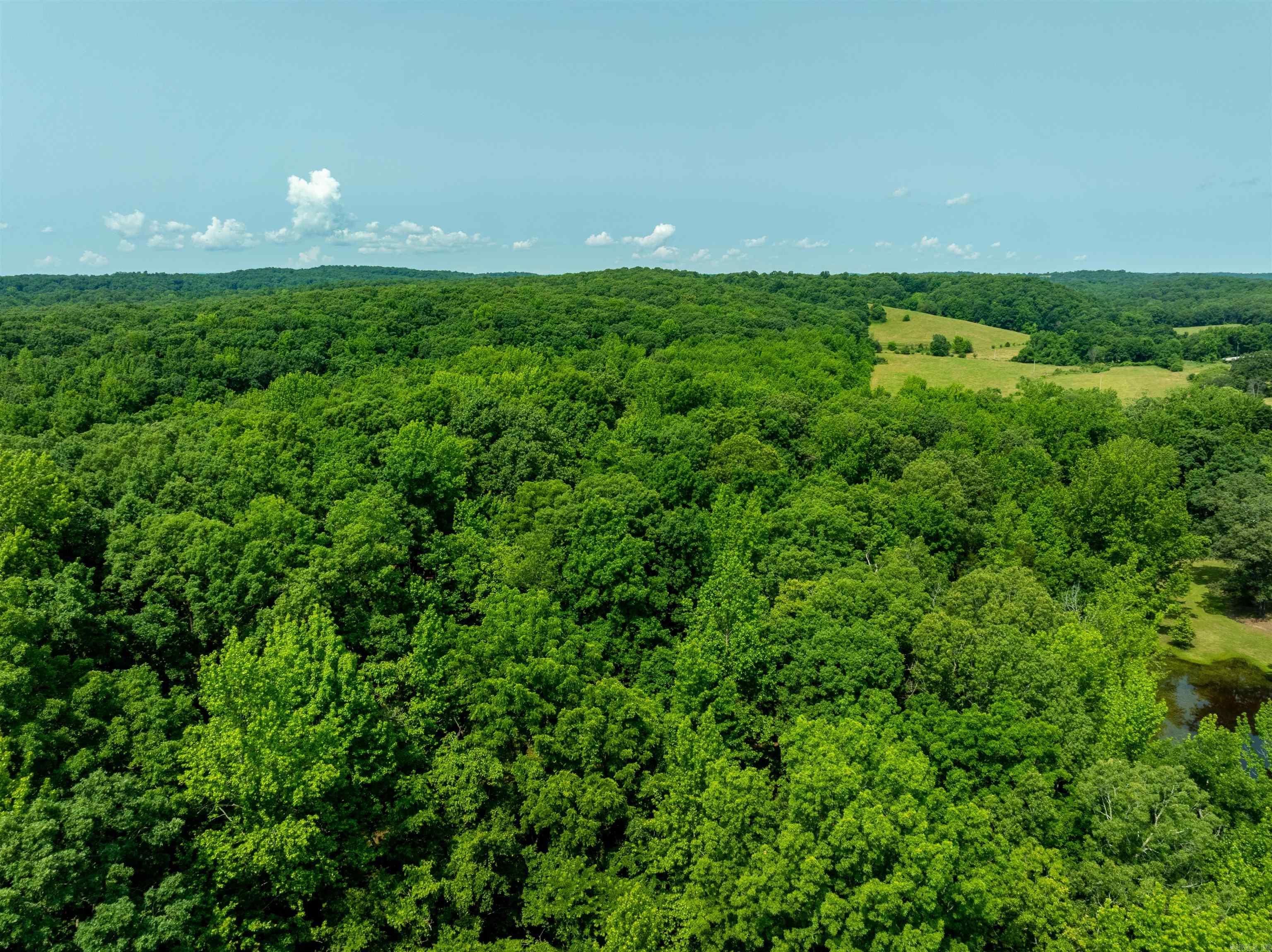 Photo 25 - Vacant Land for sale – 000  Sweet Gum   Batesville, AR