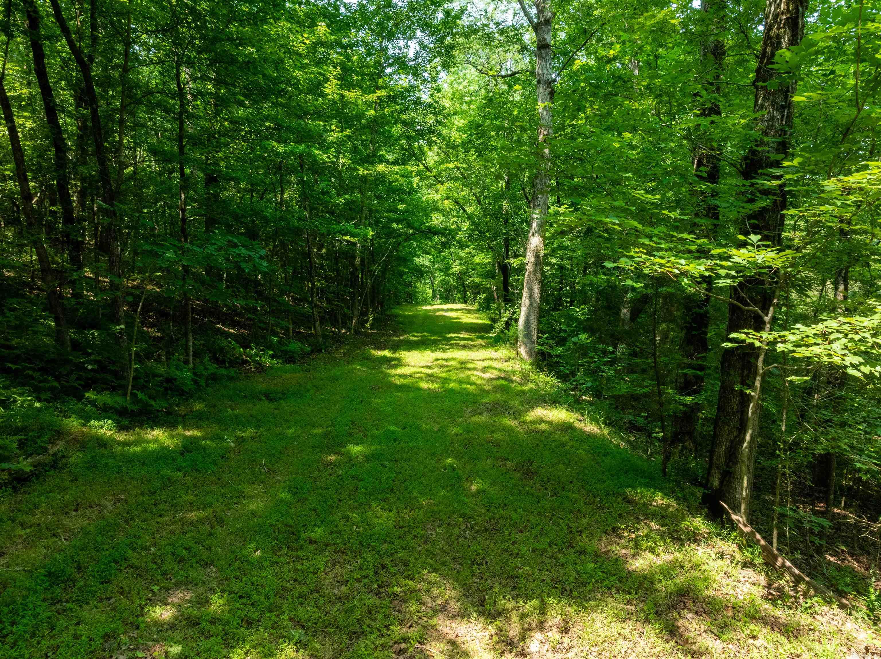 Photo 4 - Vacant Land for sale – 000  Sweet Gum   Batesville, AR