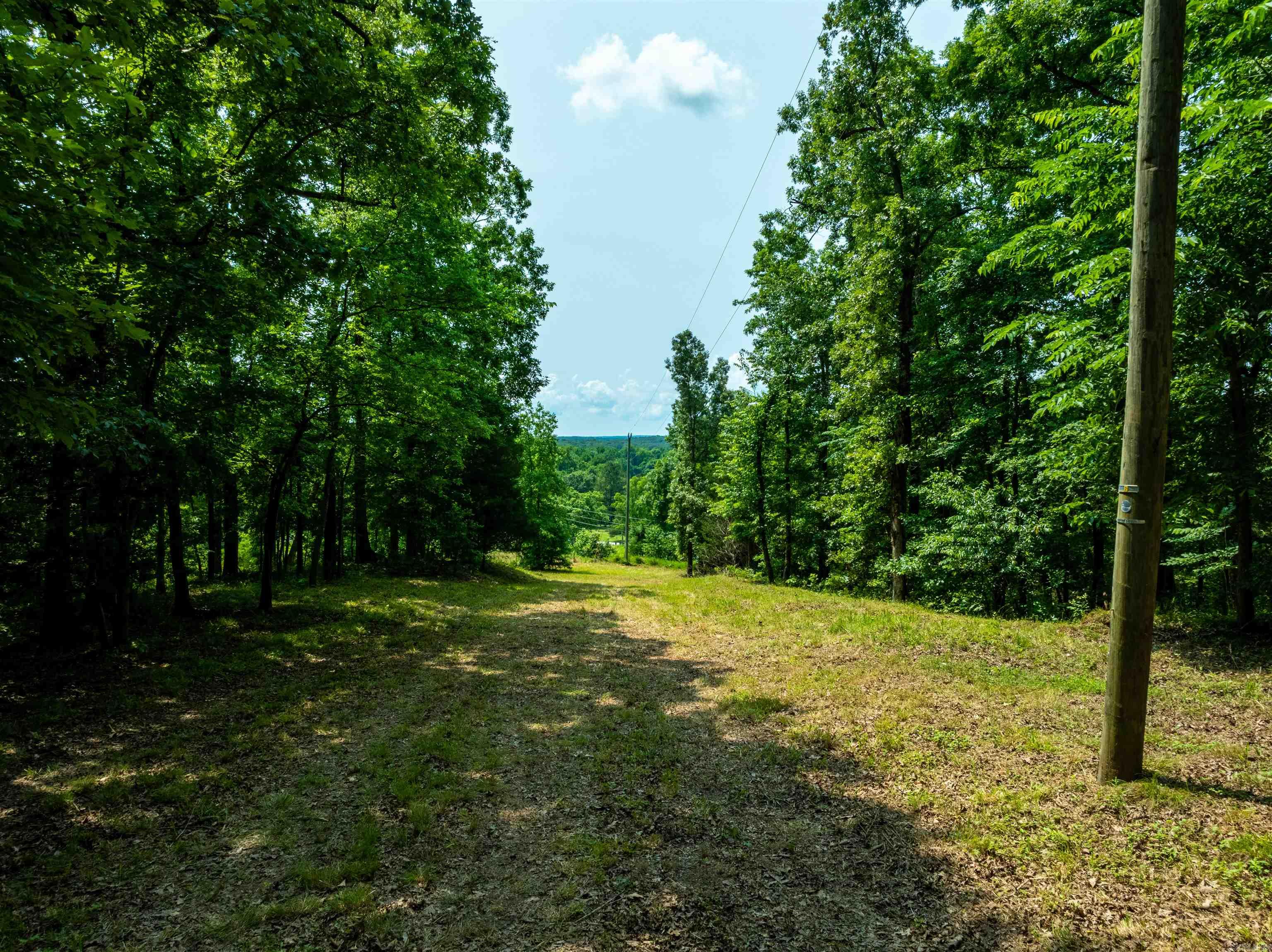 Photo 5 - Vacant Land for sale – 000  Sweet Gum   Batesville, AR