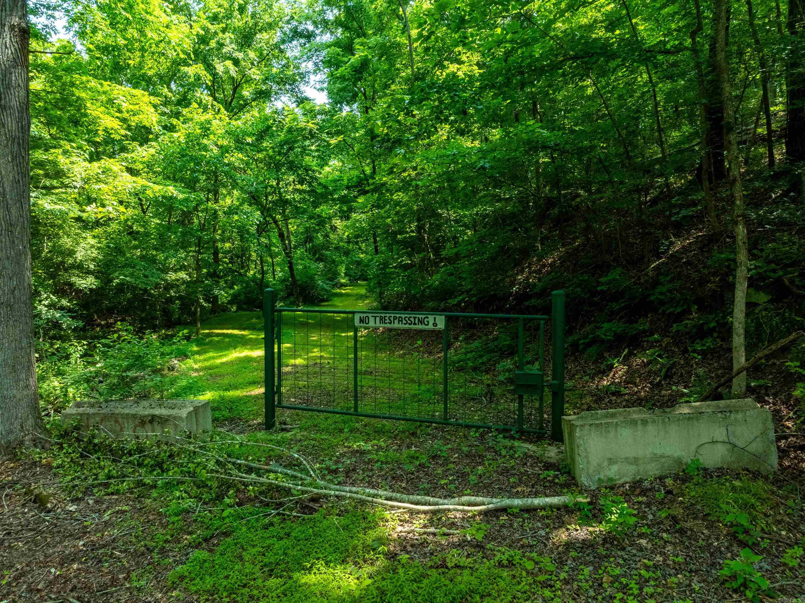 Photo 7 - Vacant Land for sale – 000  Sweet Gum   Batesville, AR