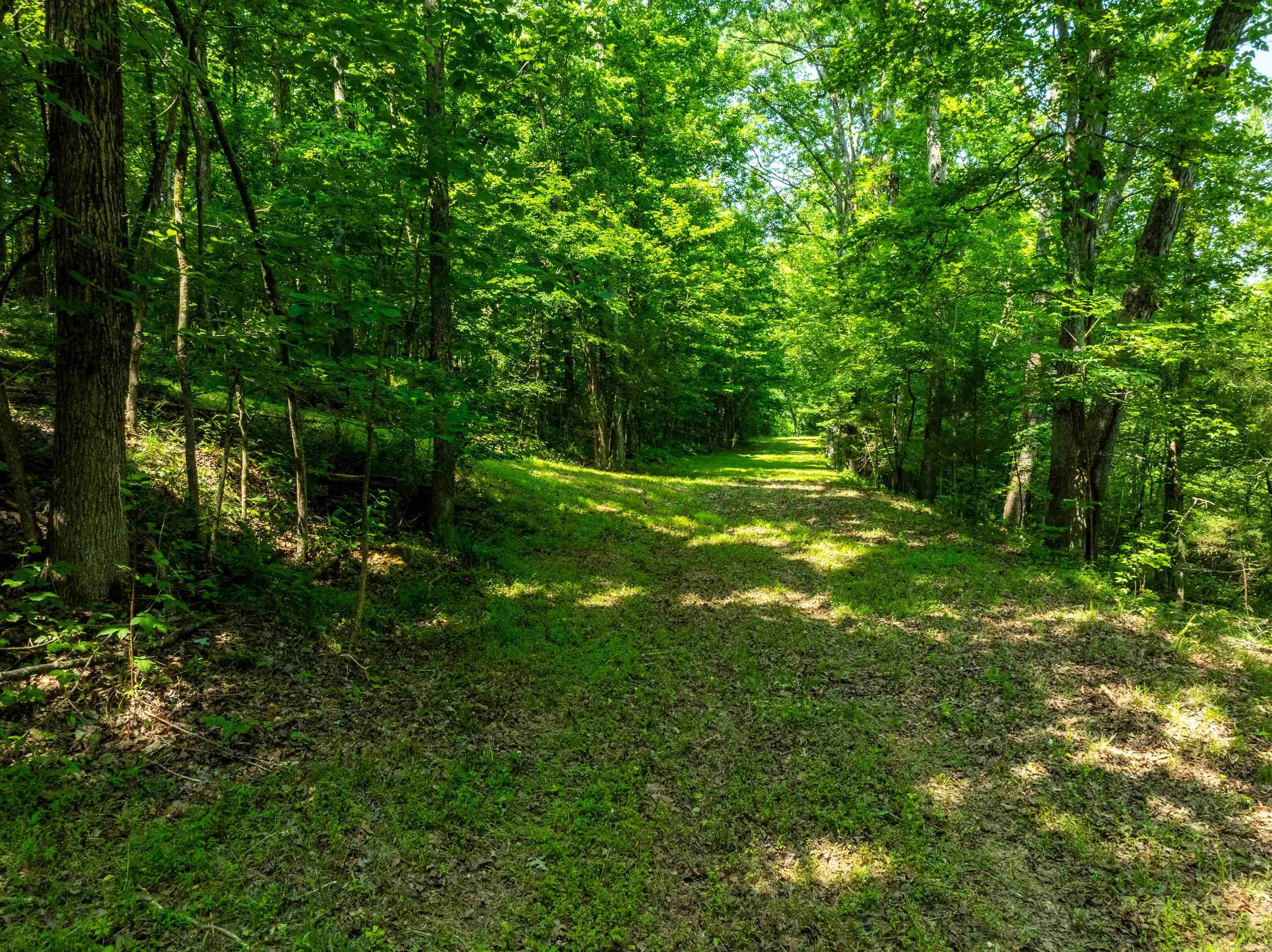 Photo 8 - Vacant Land for sale – 000  Sweet Gum   Batesville, AR