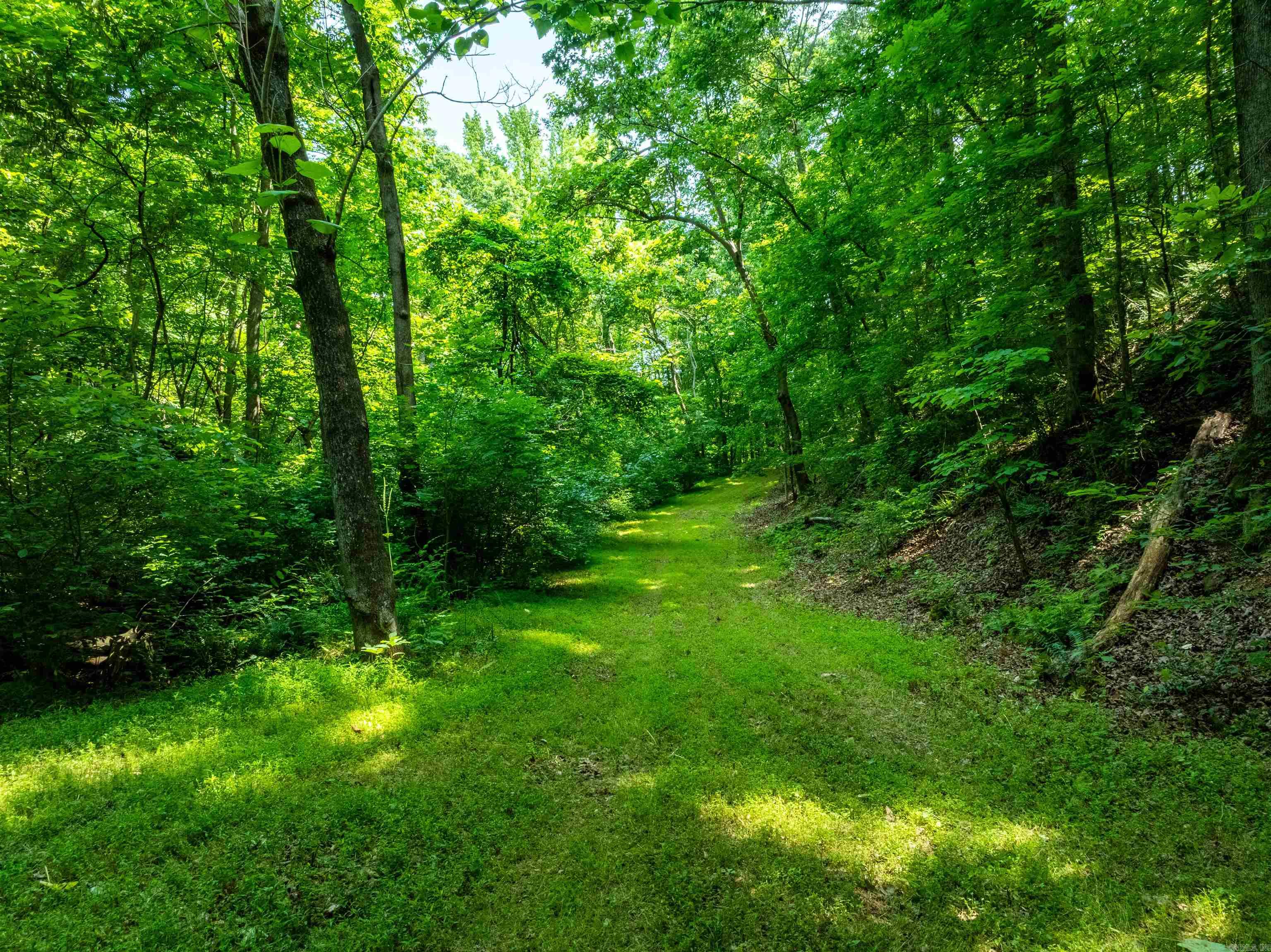Photo 9 - Vacant Land for sale – 000  Sweet Gum   Batesville, AR