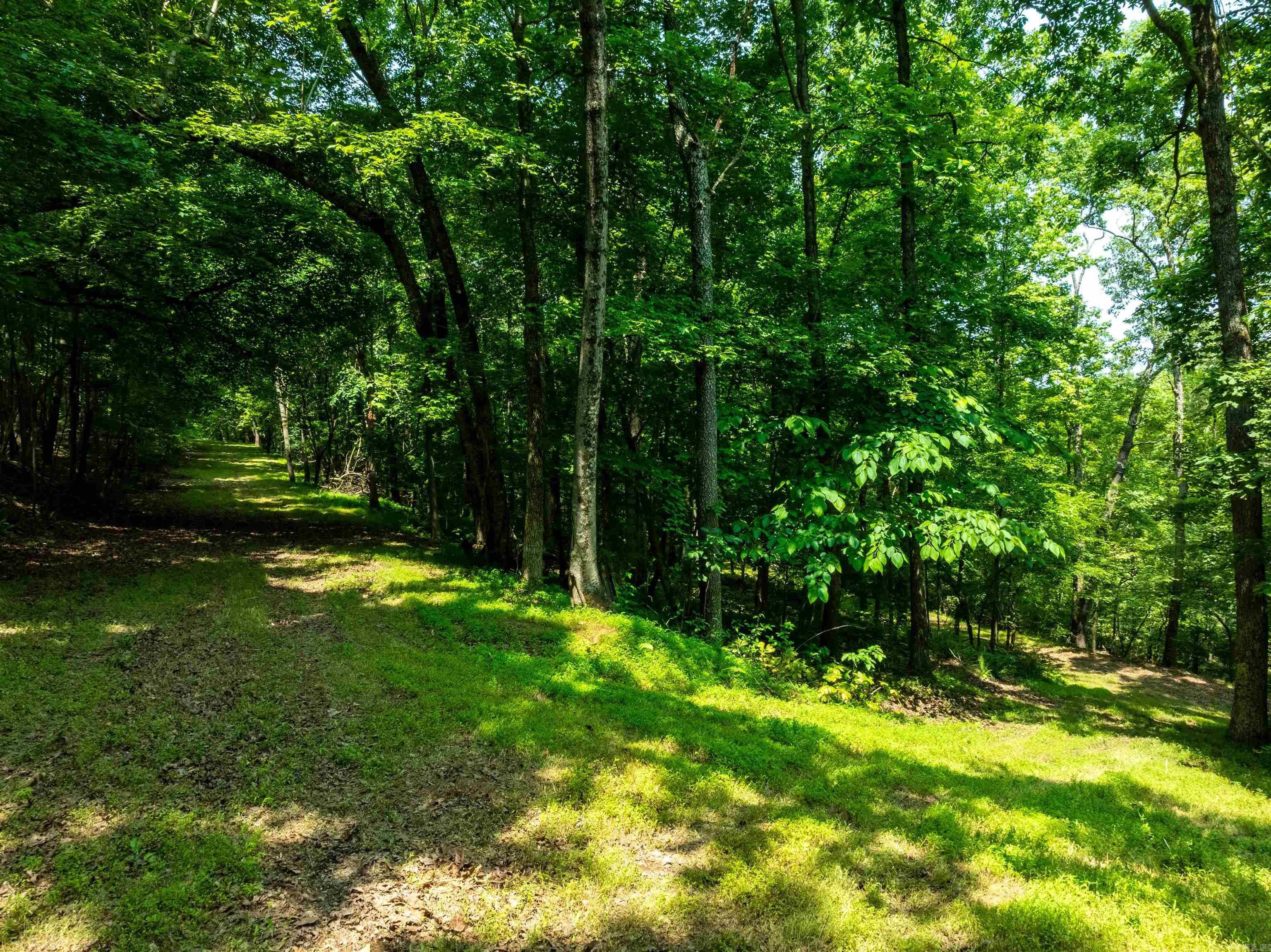 Photo 10 - Vacant Land for sale – 000  Sweet Gum   Batesville, AR
