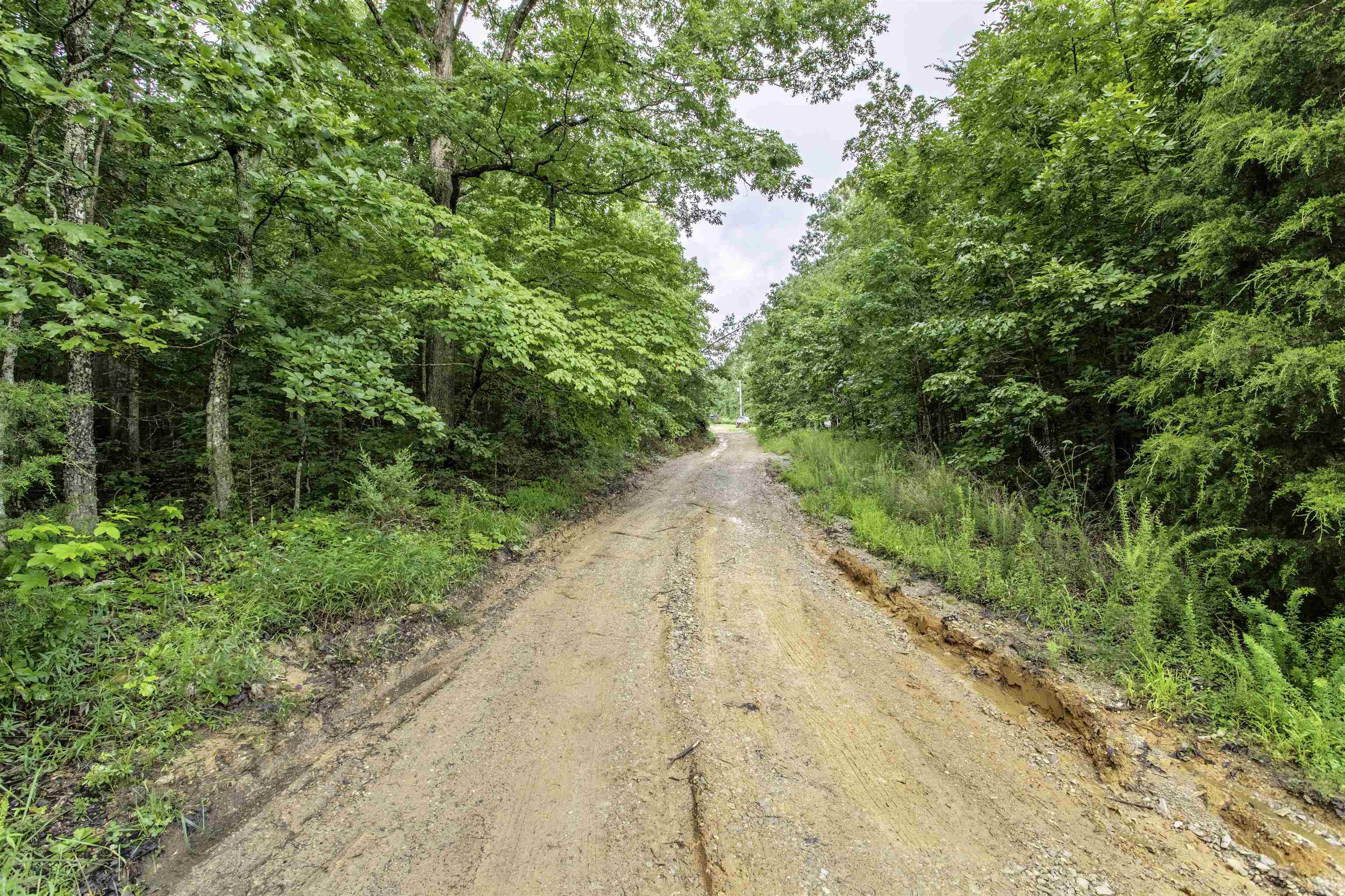 Photo 2 - Vacant Land for sale – 00  Red Fox   Hardy, AR