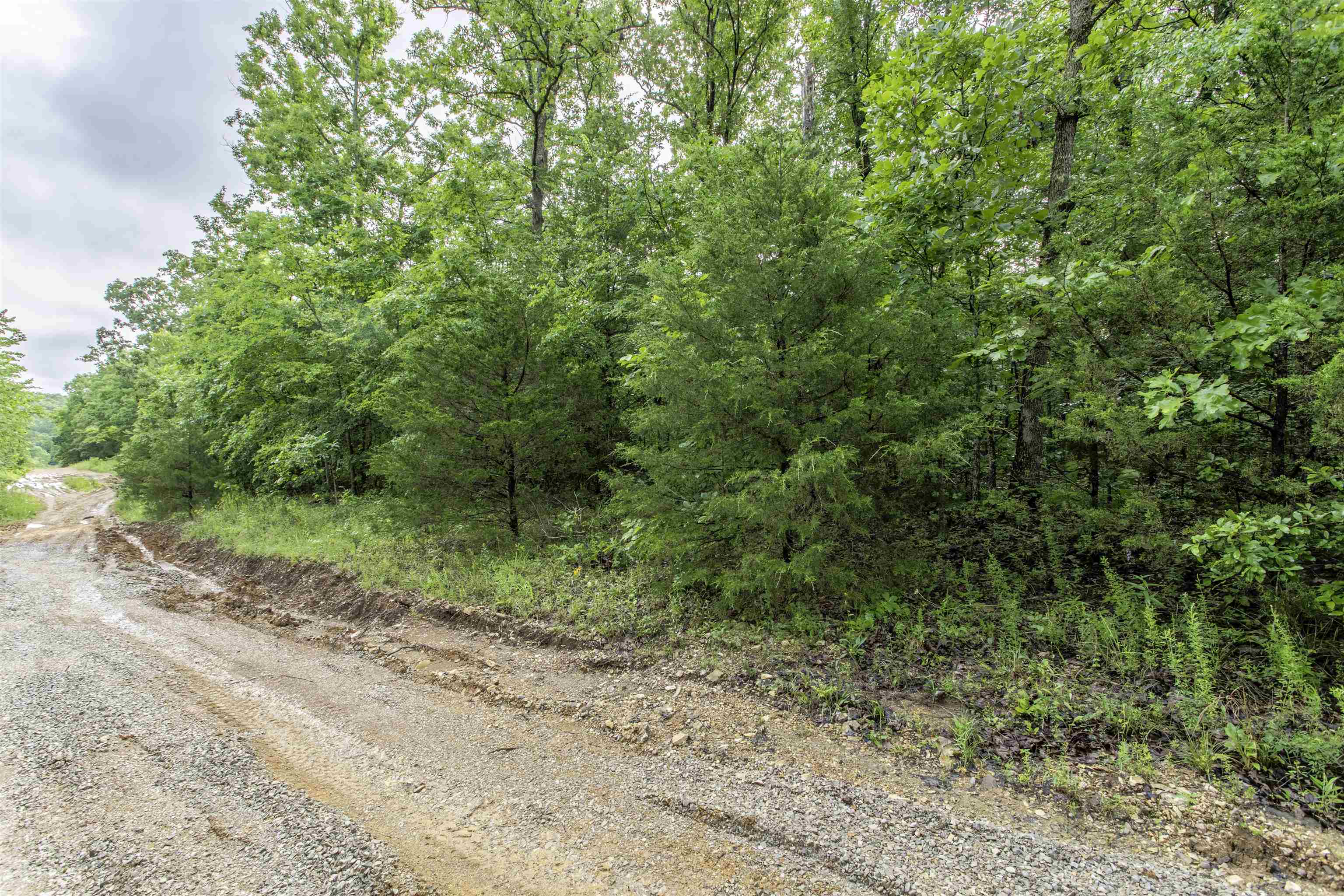 Photo 3 - Vacant Land for sale – 00  Red Fox   Hardy, AR