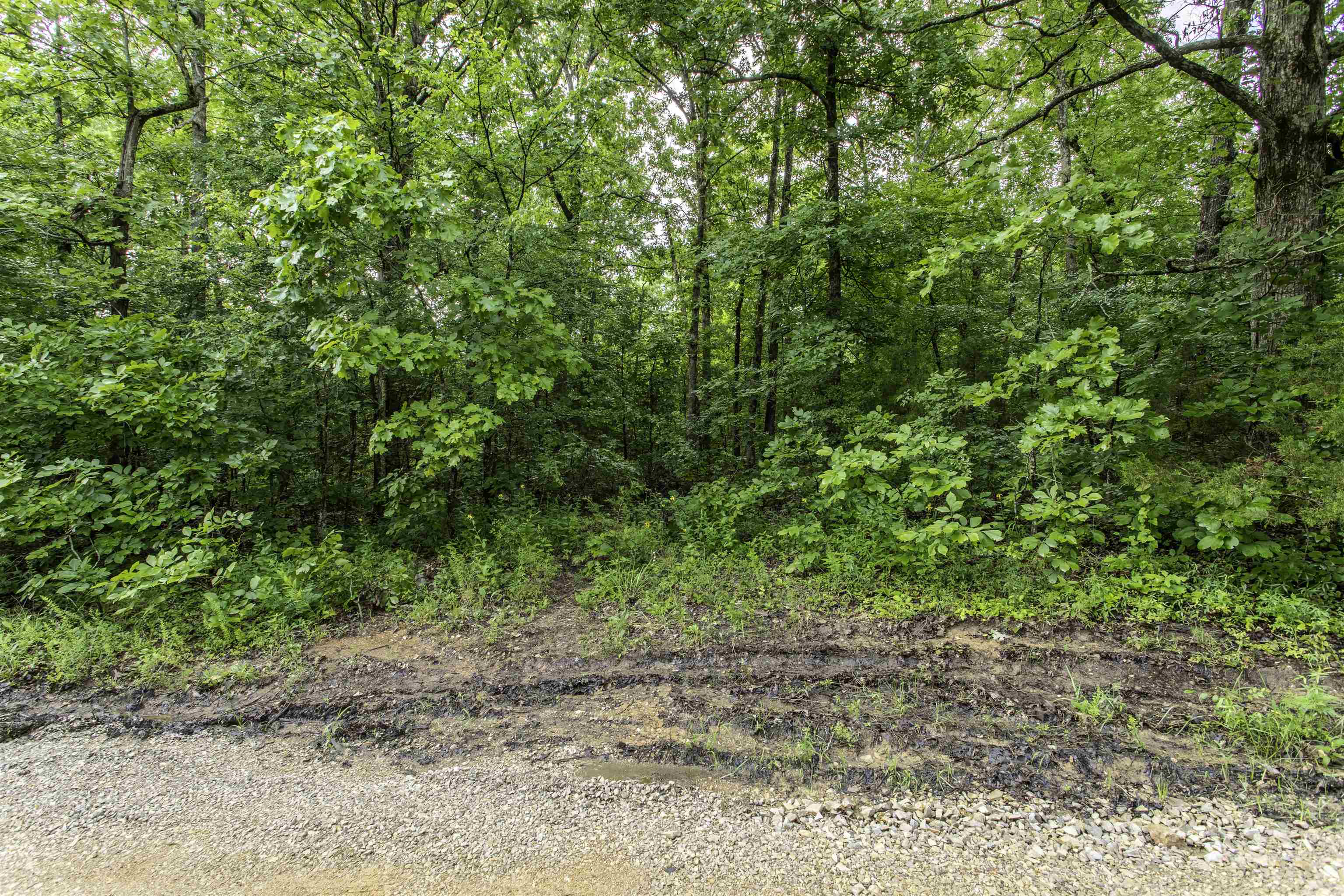 Photo 4 - Vacant Land for sale – 00  Red Fox   Hardy, AR