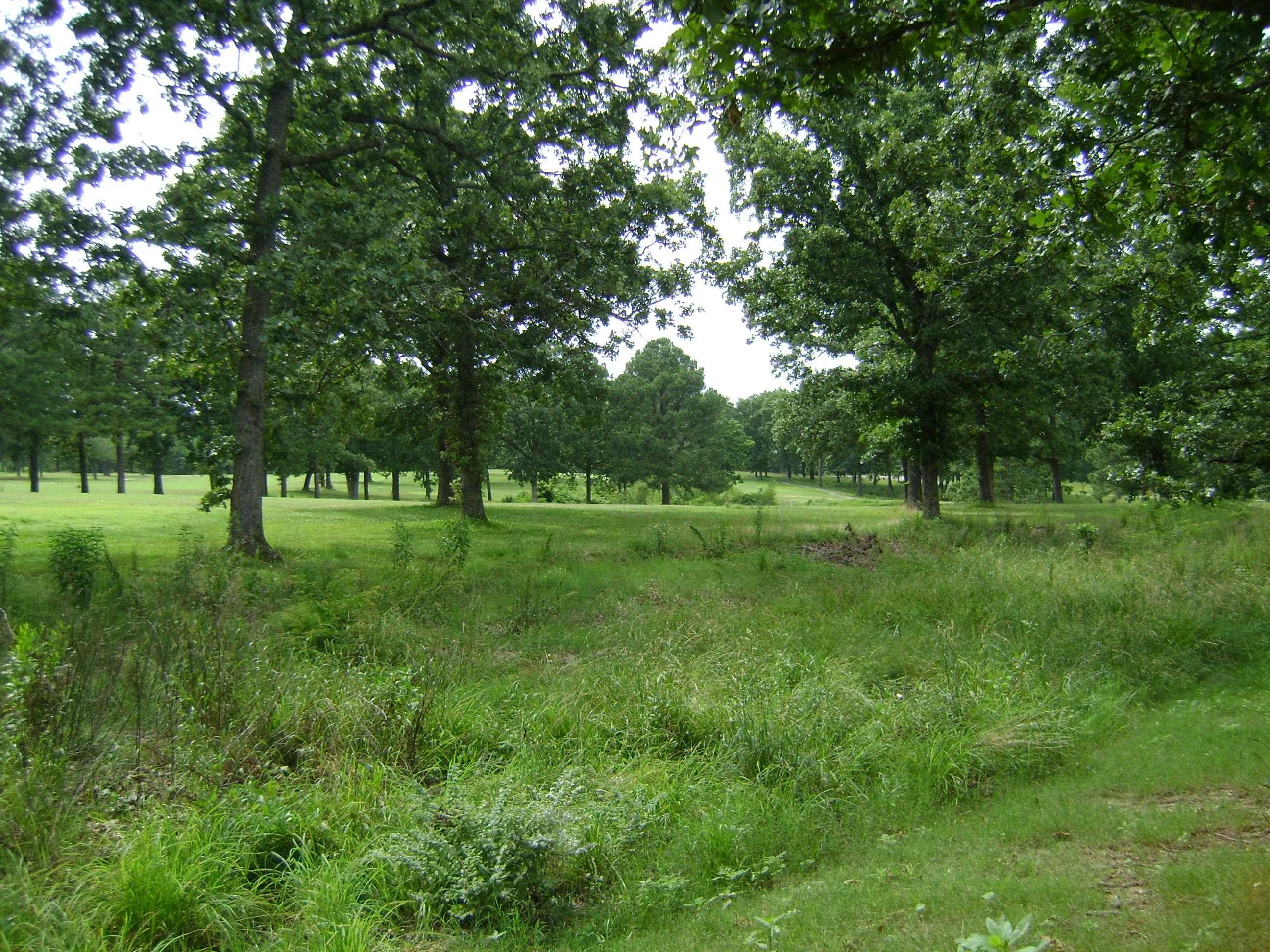 Photo 9 - Residential for sale – 405  Fairway Drive   Horseshoe Bend, AR