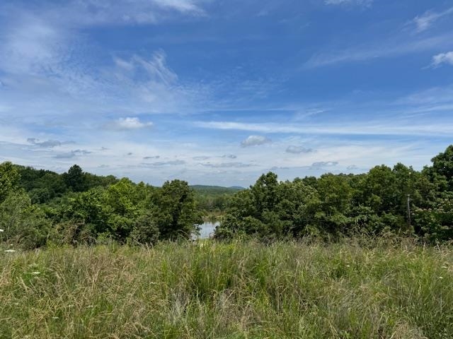 Photo 18 - Commercial / Industrial for sale – TBD  HWY 62/412 E   Salem, AR