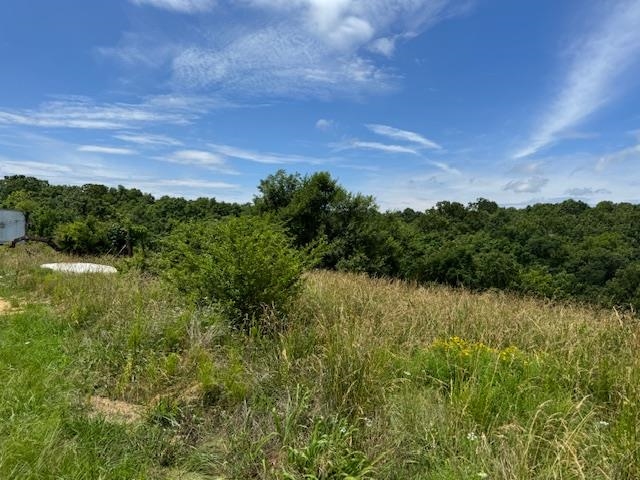 Photo 19 - Commercial / Industrial for sale – TBD  HWY 62/412 E   Salem, AR