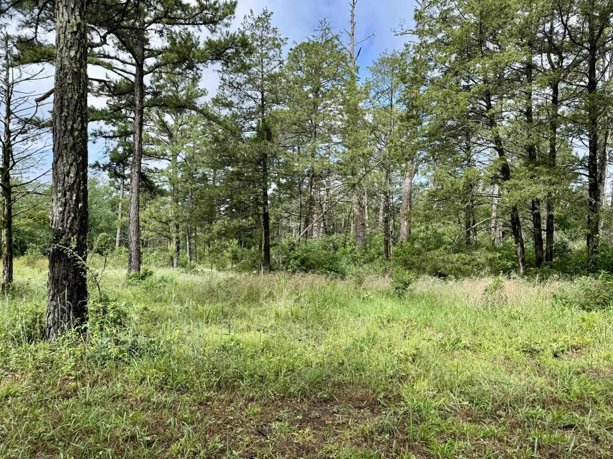 Photo 2 - Vacant Land for sale – 400  Tree Farm Road   Melbourne, AR