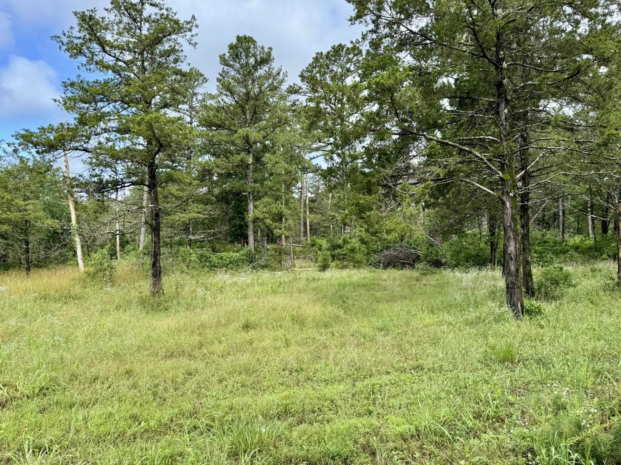 Photo 3 - Vacant Land for sale – 400  Tree Farm Road   Melbourne, AR