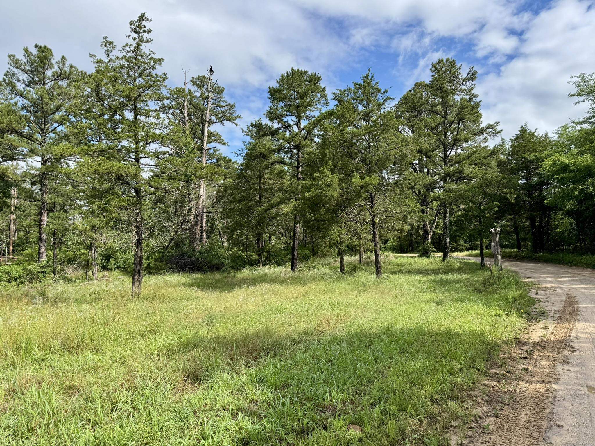 Photo 4 - Vacant Land for sale – 400  Tree Farm Road   Melbourne, AR