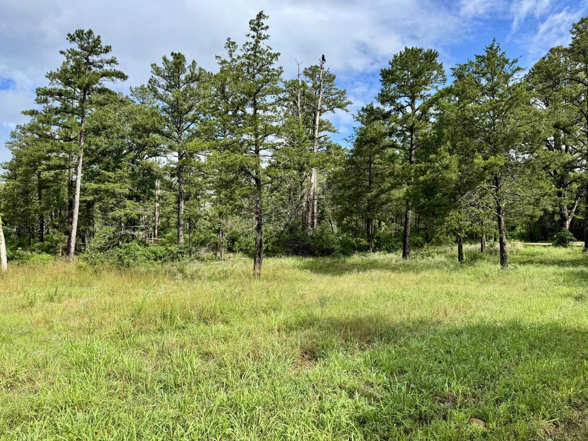 Photo 5 - Vacant Land for sale – 400  Tree Farm Road   Melbourne, AR