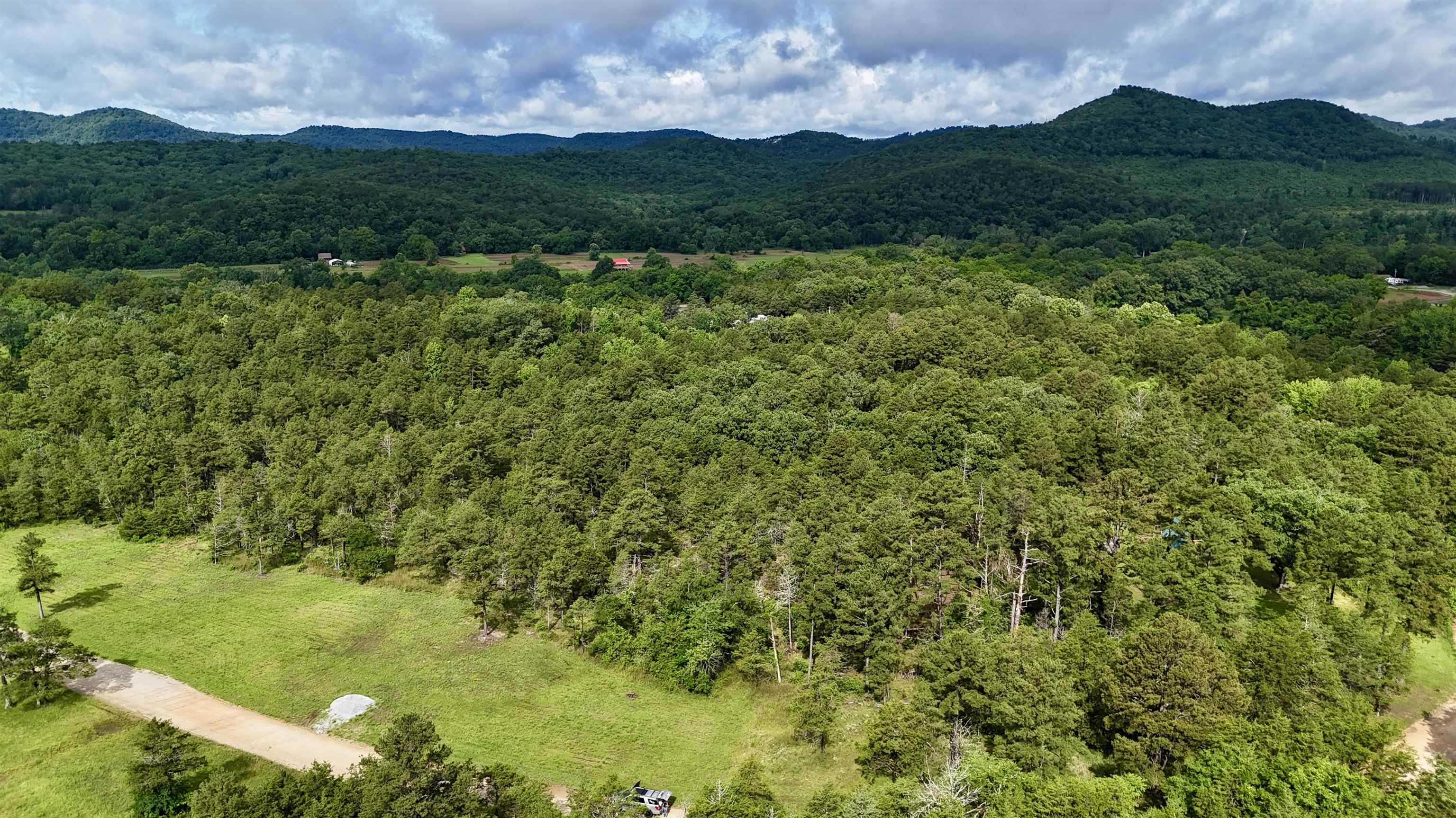 Photo 6 - Vacant Land for sale – 400  Tree Farm Road   Melbourne, AR