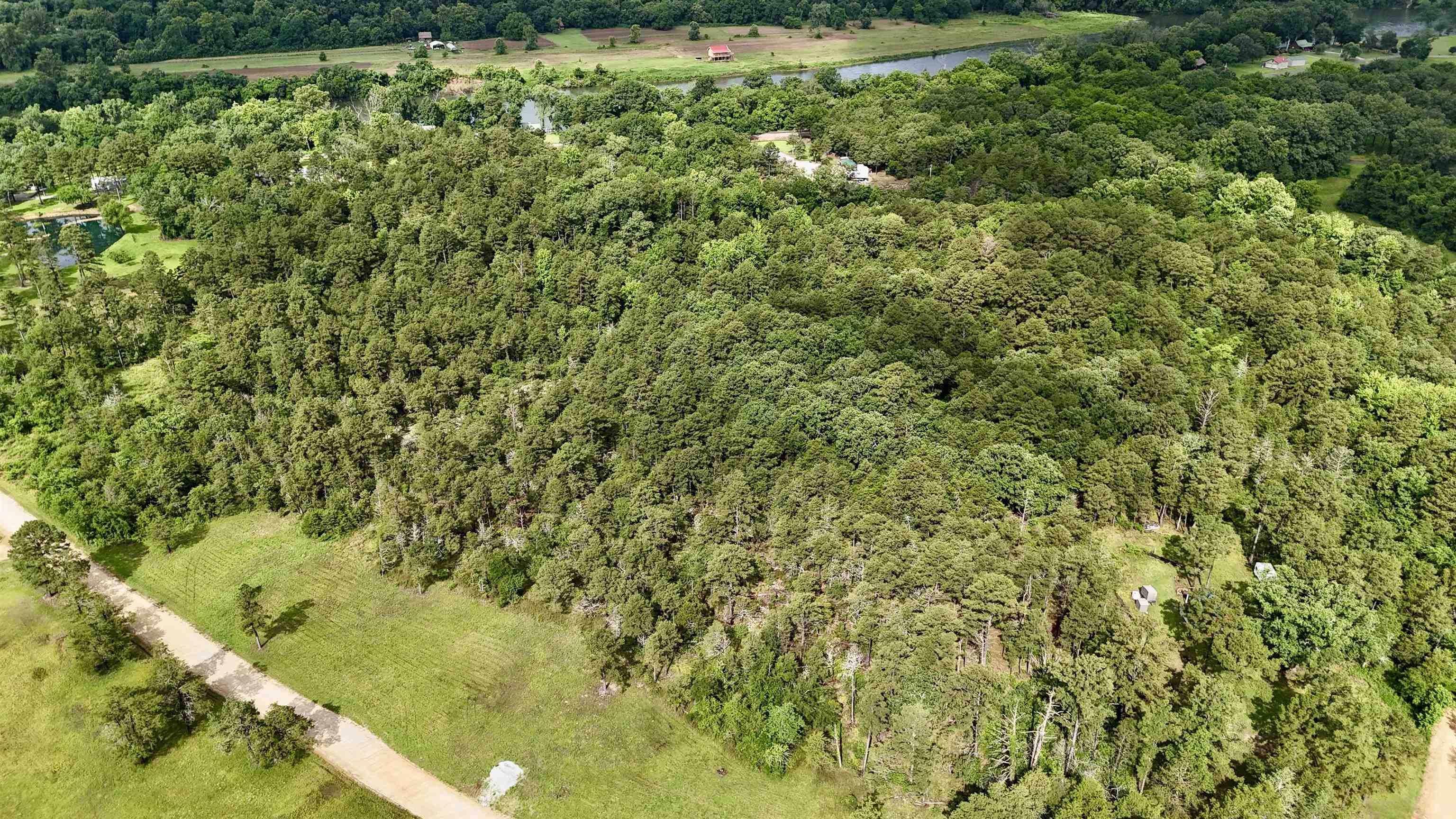 Photo 7 - Vacant Land for sale – 400  Tree Farm Road   Melbourne, AR