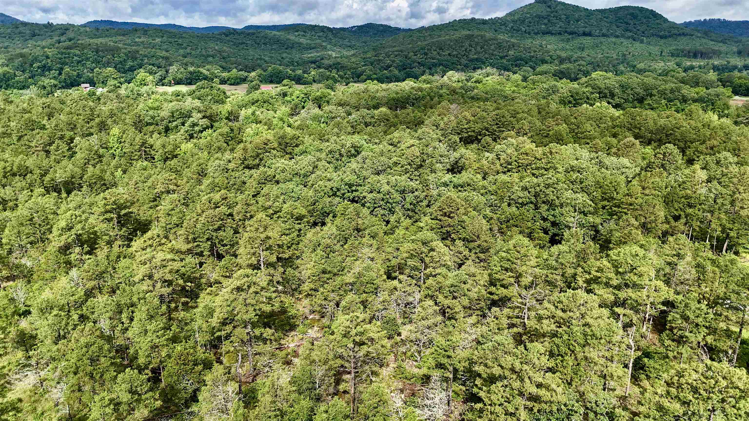 Photo 8 - Vacant Land for sale – 400  Tree Farm Road   Melbourne, AR
