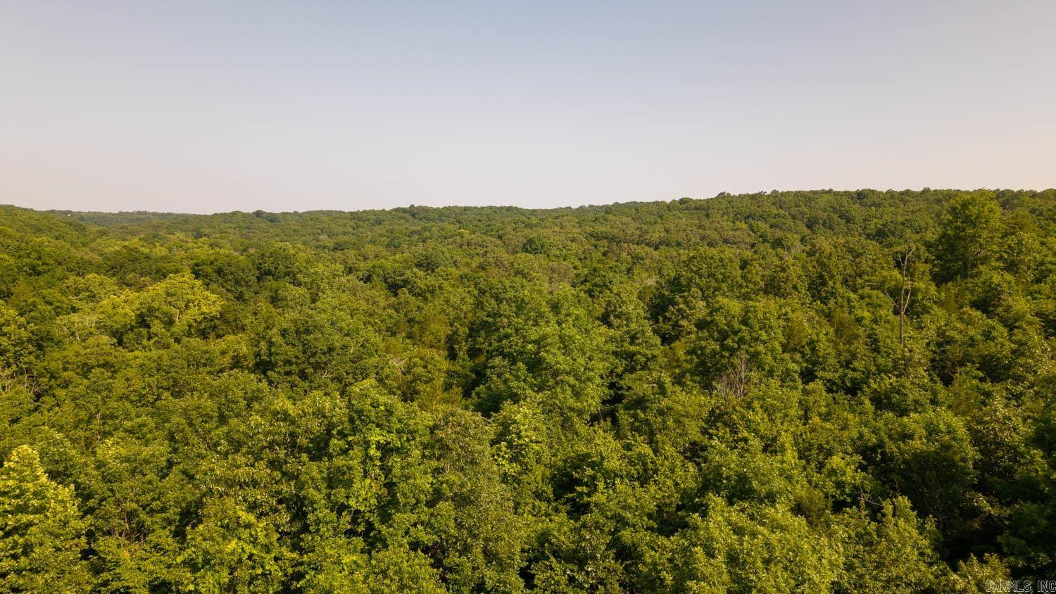 Photo 11 - Vacant Land for sale – TBD  Brown's Creek Road   Ravenden, AR