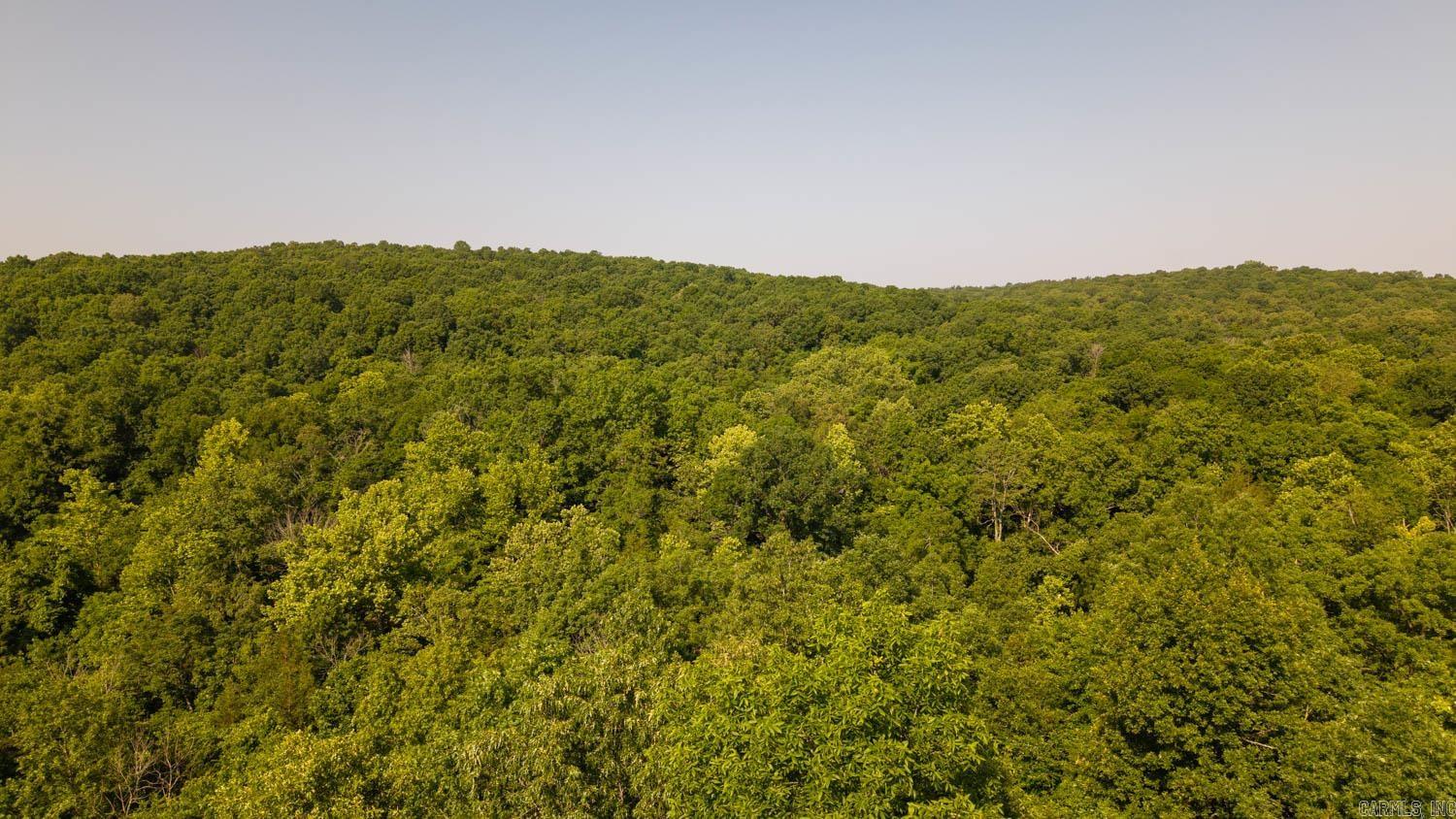 Photo 12 - Vacant Land for sale – TBD  Brown's Creek Road   Ravenden, AR