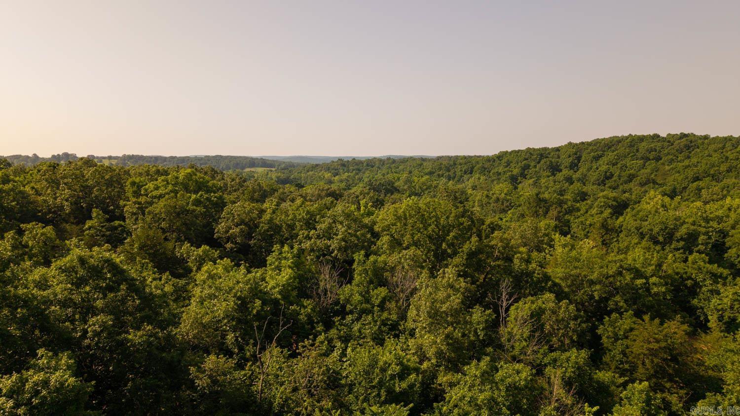 Photo 13 - Vacant Land for sale – TBD  Brown's Creek Road   Ravenden, AR