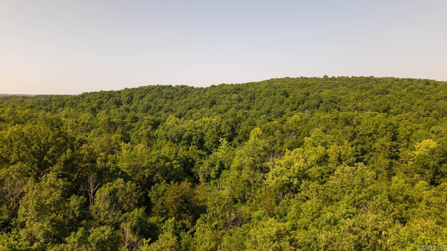 Photo 14 - Vacant Land for sale – TBD  Brown's Creek Road   Ravenden, AR