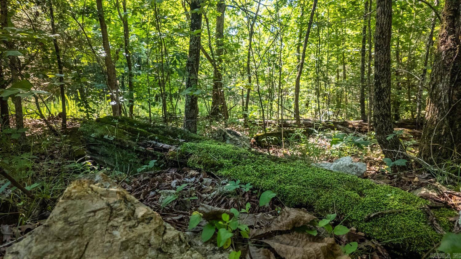 Photo 15 - Vacant Land for sale – TBD  Brown's Creek Road   Ravenden, AR