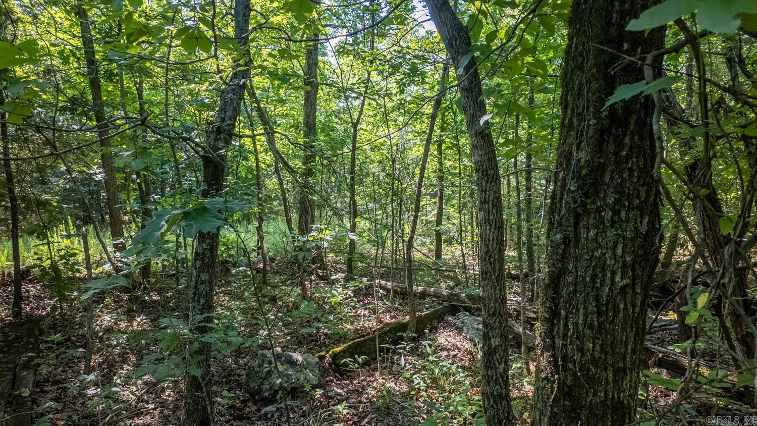 Photo 16 - Vacant Land for sale – TBD  Brown's Creek Road   Ravenden, AR