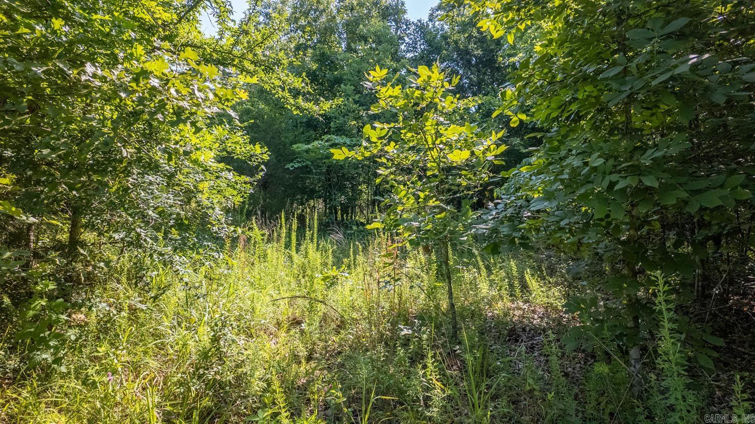 Photo 17 - Vacant Land for sale – TBD  Brown's Creek Road   Ravenden, AR