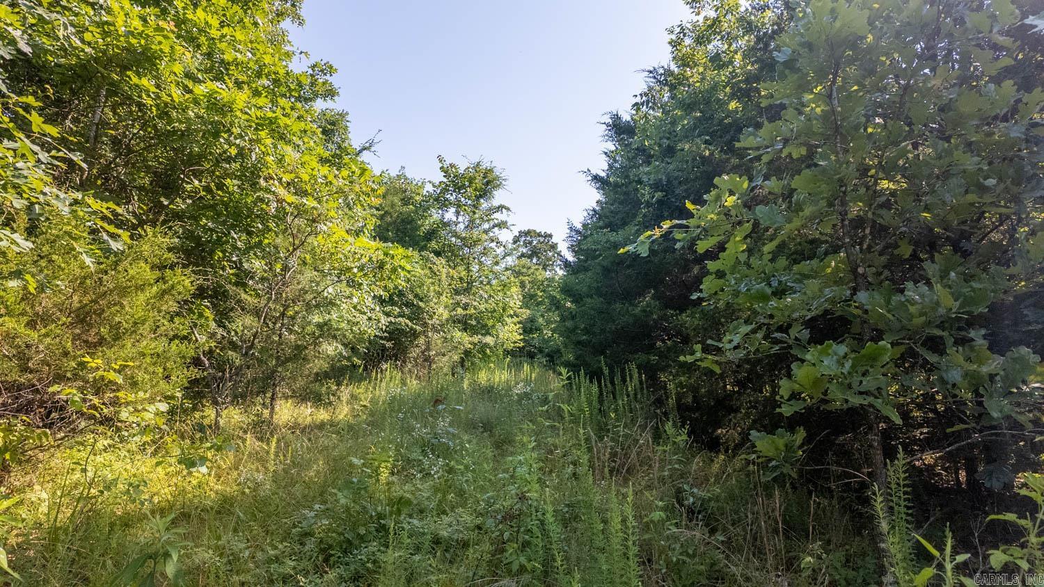 Photo 18 - Vacant Land for sale – TBD  Brown's Creek Road   Ravenden, AR