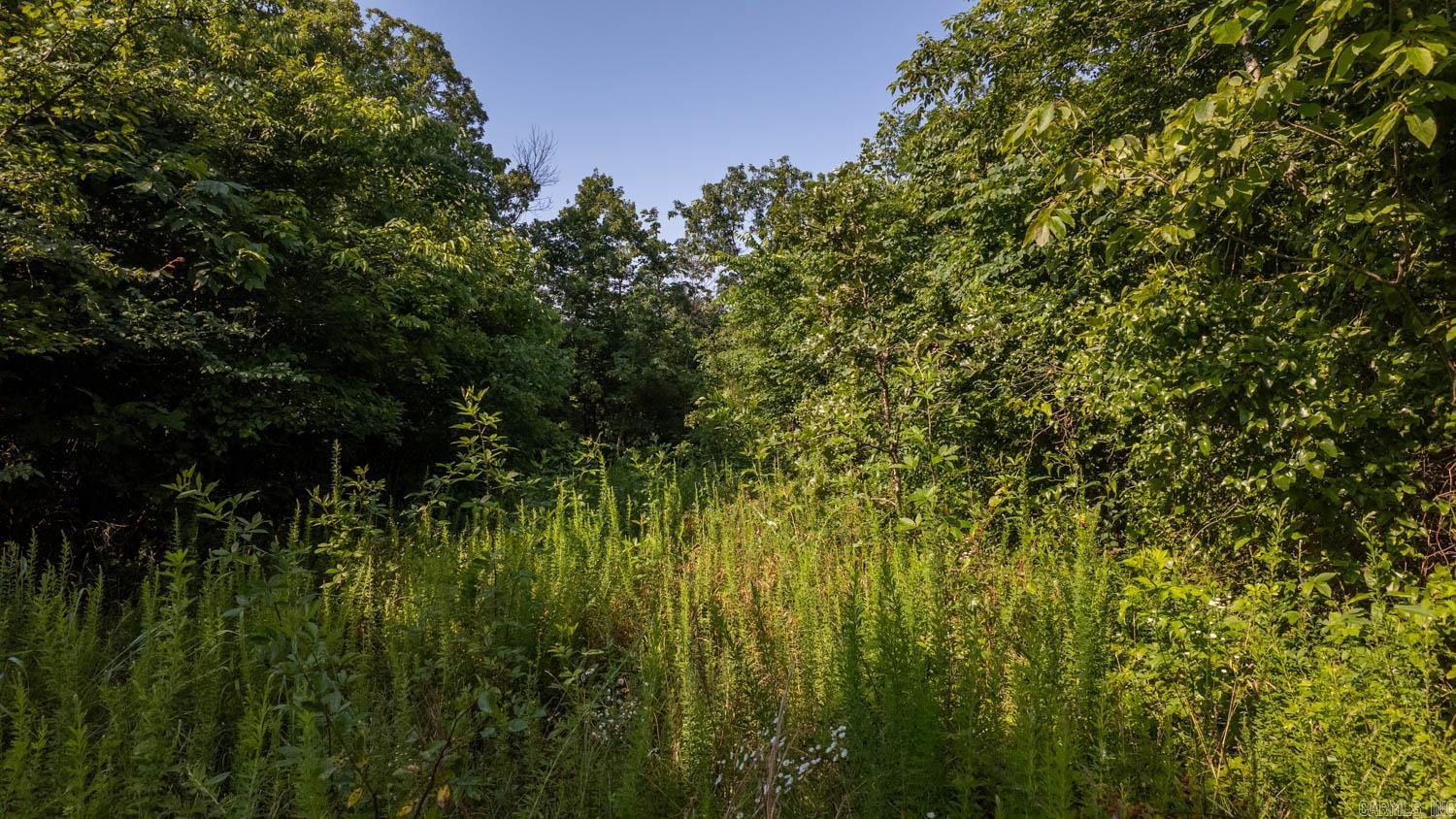 Photo 19 - Vacant Land for sale – TBD  Brown's Creek Road   Ravenden, AR