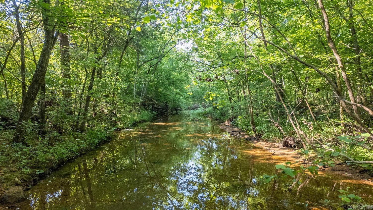 Photo 3 - Vacant Land for sale – TBD  Brown's Creek Road   Ravenden, AR