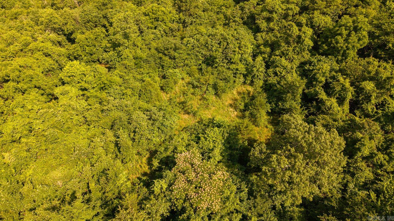 Photo 21 - Vacant Land for sale – TBD  Brown's Creek Road   Ravenden, AR