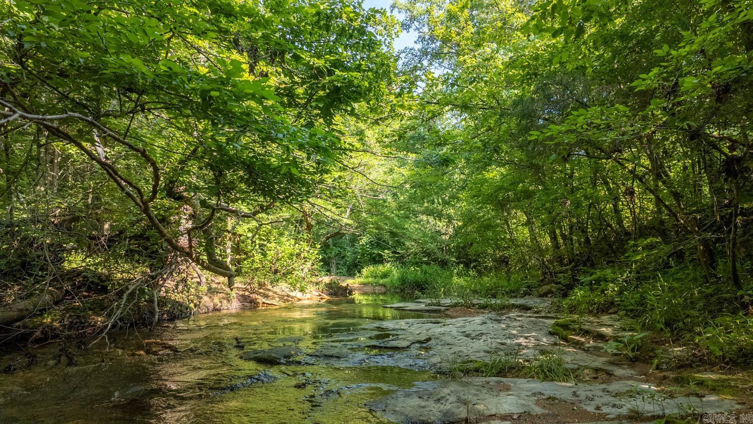 Photo 4 - Vacant Land for sale – TBD  Brown's Creek Road   Ravenden, AR