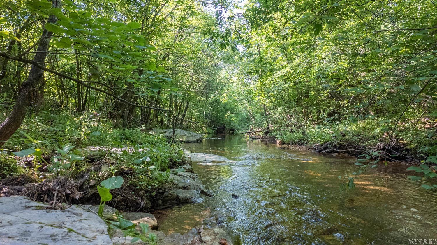 Photo 5 - Vacant Land for sale – TBD  Brown's Creek Road   Ravenden, AR