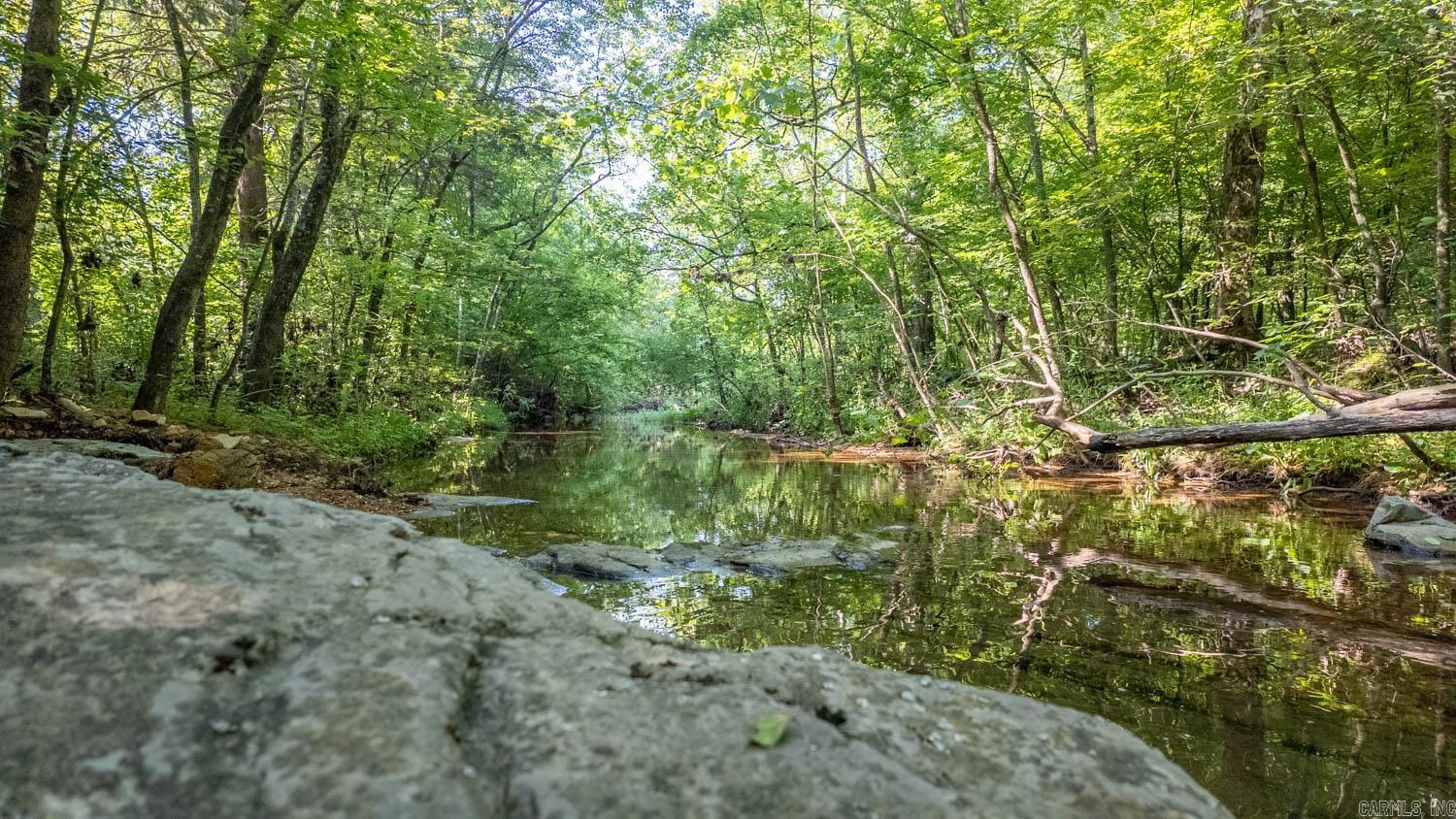 Photo 6 - Vacant Land for sale – TBD  Brown's Creek Road   Ravenden, AR