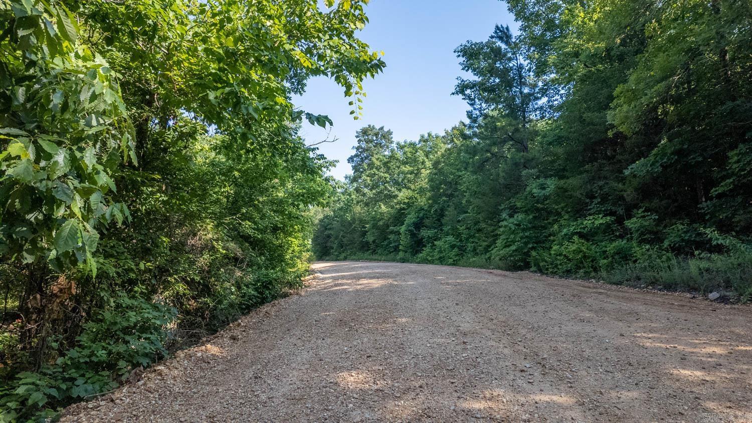 Photo 7 - Vacant Land for sale – TBD  Brown's Creek Road   Ravenden, AR
