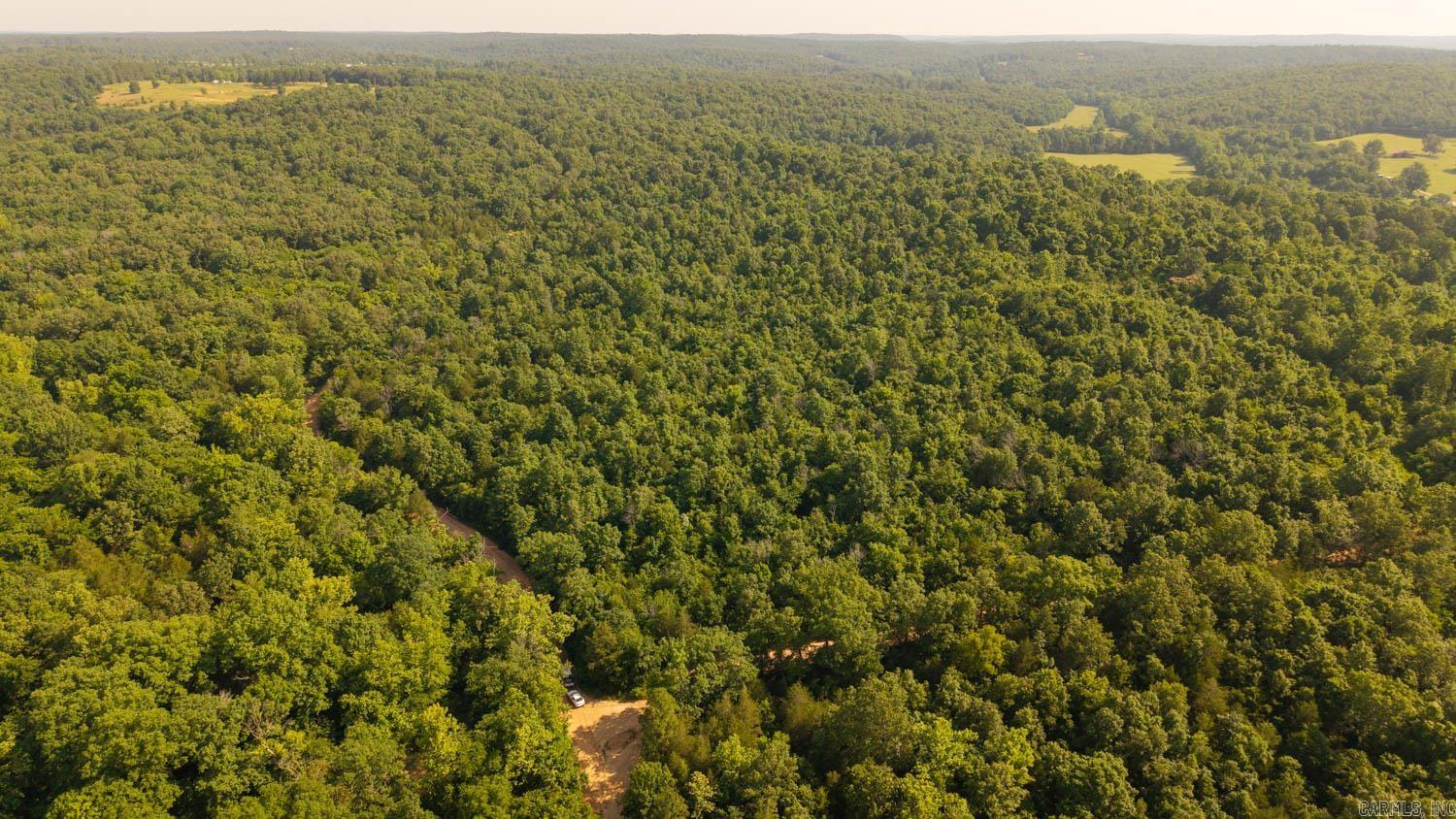 Photo 8 - Vacant Land for sale – TBD  Brown's Creek Road   Ravenden, AR