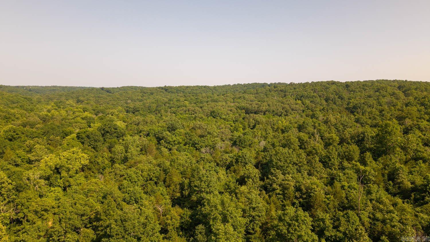 Photo 10 - Vacant Land for sale – TBD  Brown's Creek Road   Ravenden, AR