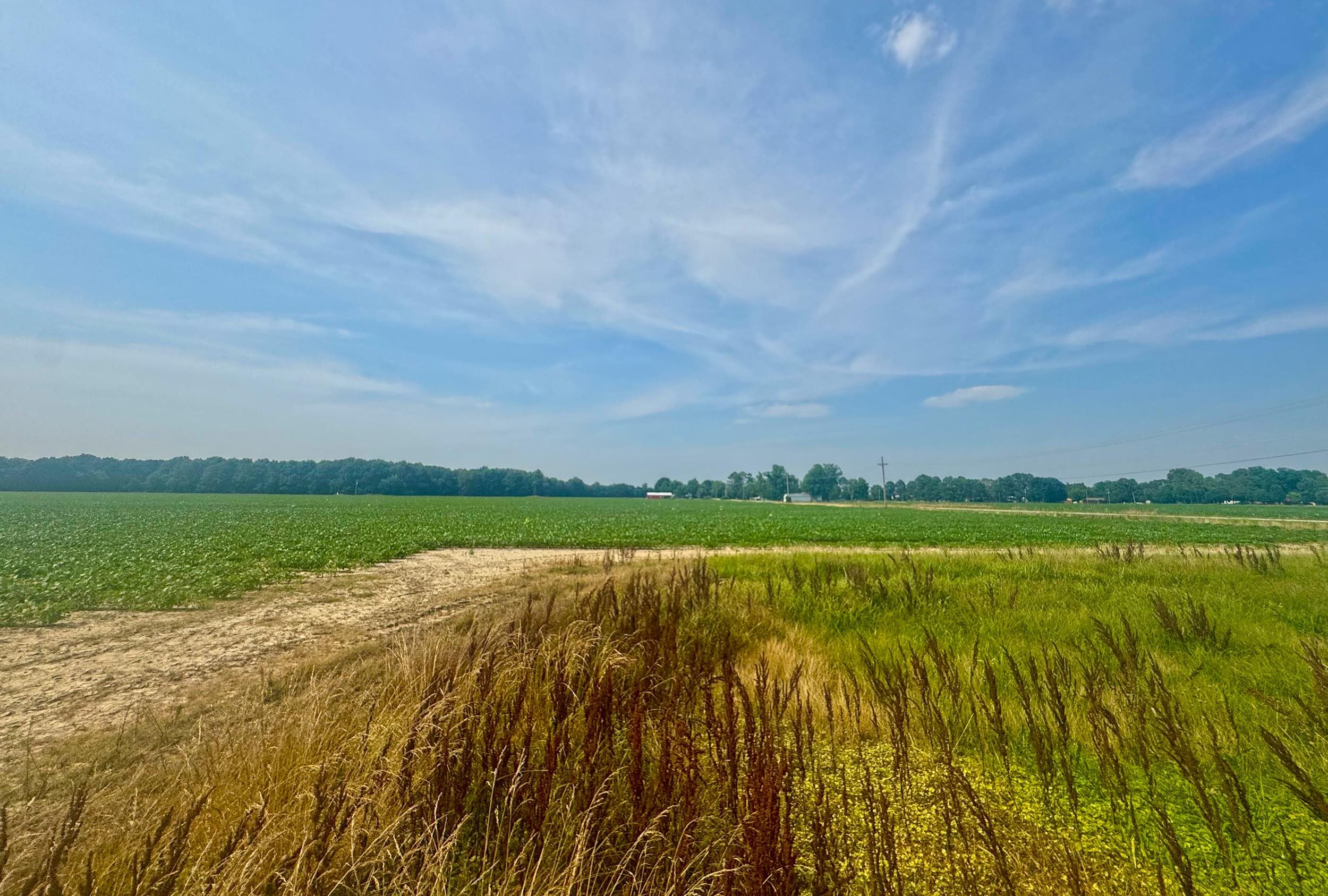 Photo 11 - Vacant Land for sale – 2709  Heath   Jonesboro, AR