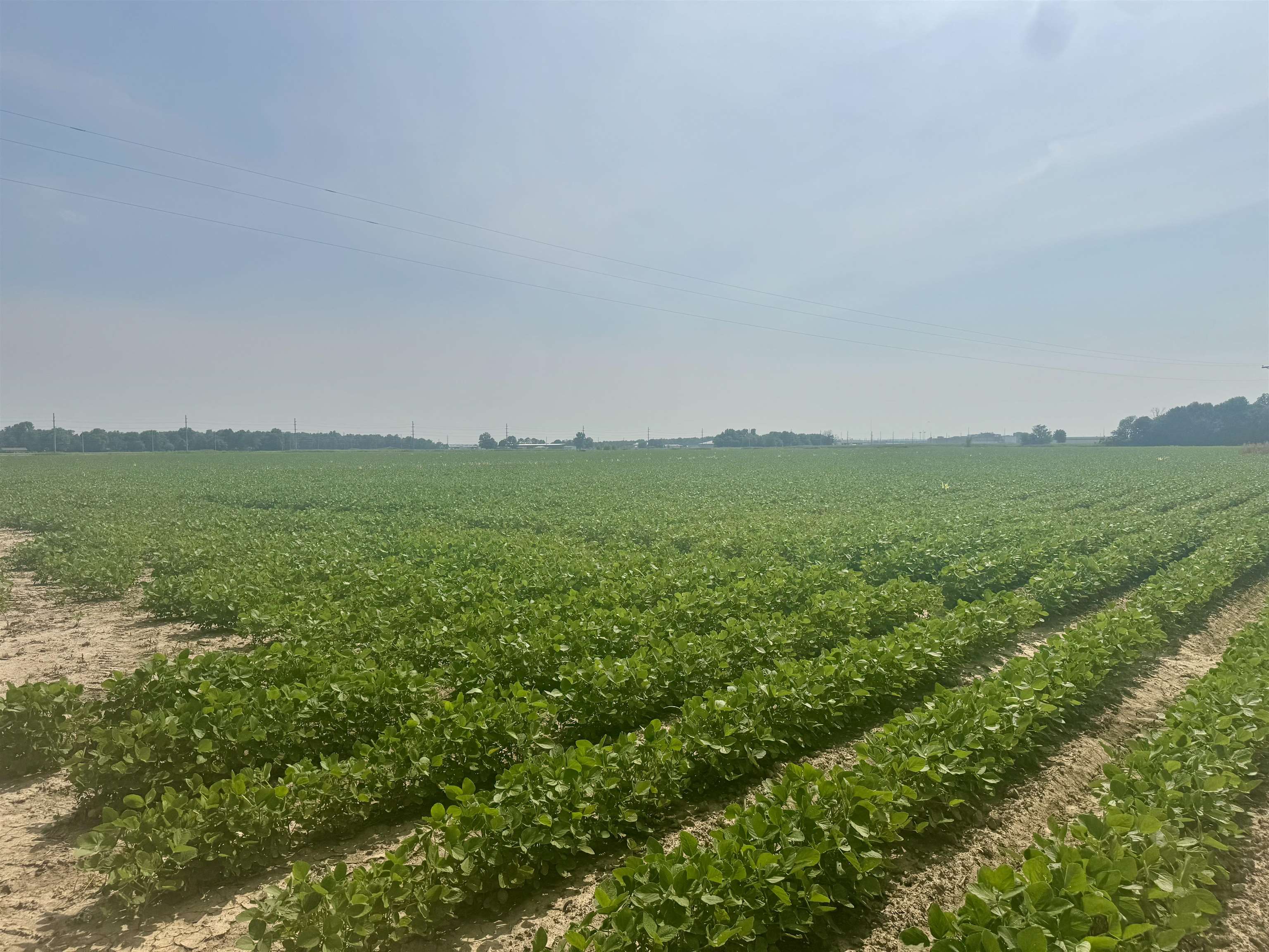 Photo 12 - Vacant Land for sale – 2709  Heath   Jonesboro, AR