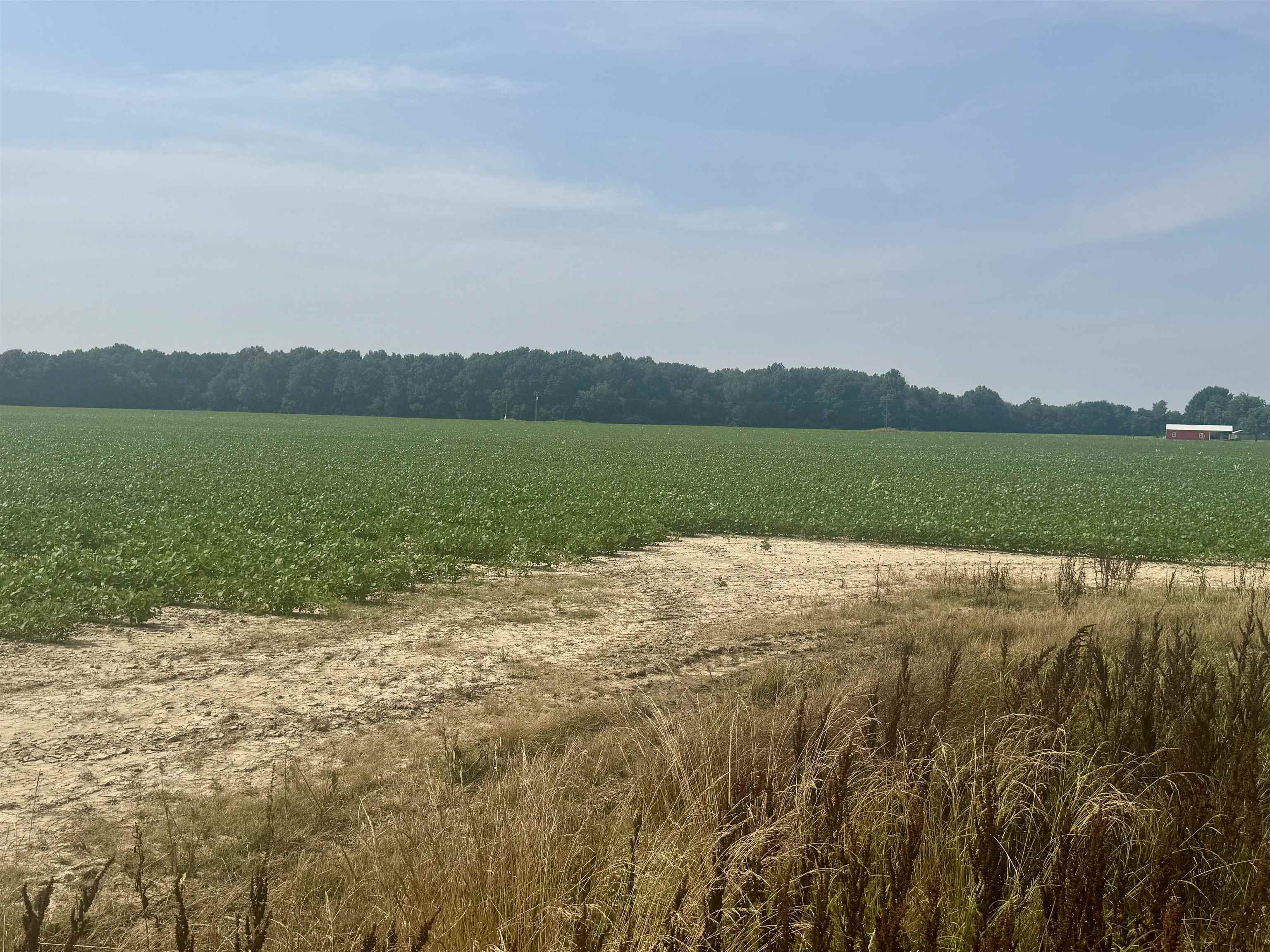 Photo 13 - Vacant Land for sale – 2709  Heath   Jonesboro, AR