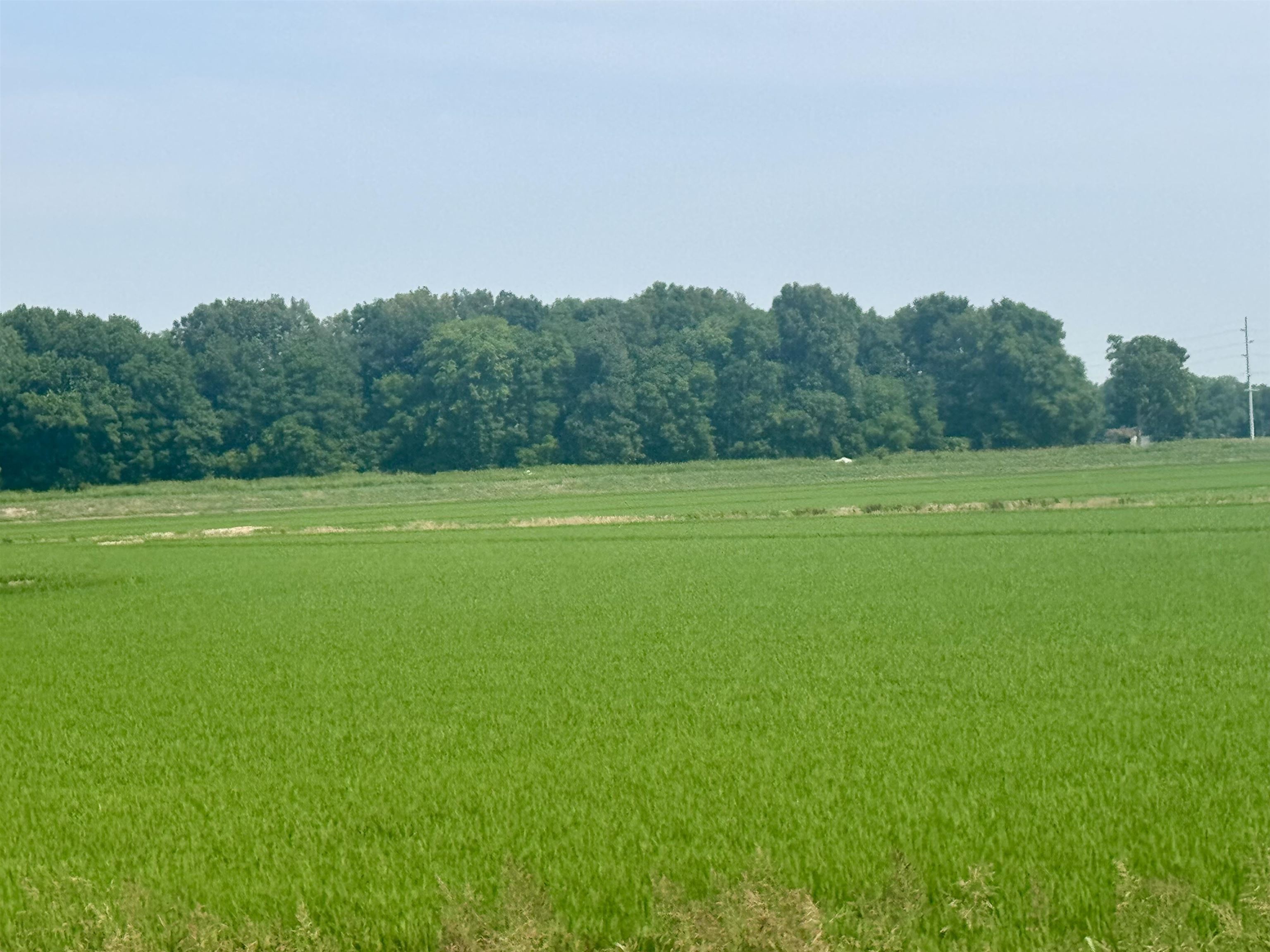 Photo 14 - Vacant Land for sale – 2709  Heath   Jonesboro, AR